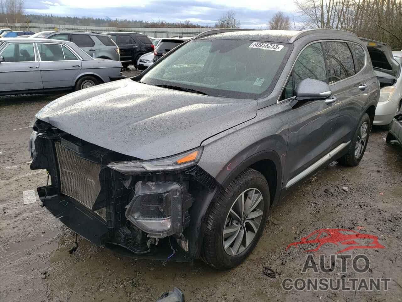 HYUNDAI SANTA FE 2019 - 5NMS5CAD2KH026552