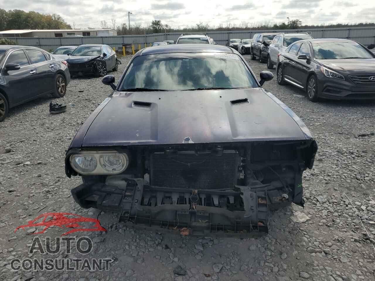 DODGE CHALLENGER 2013 - 2C3CDYAG4DH704400