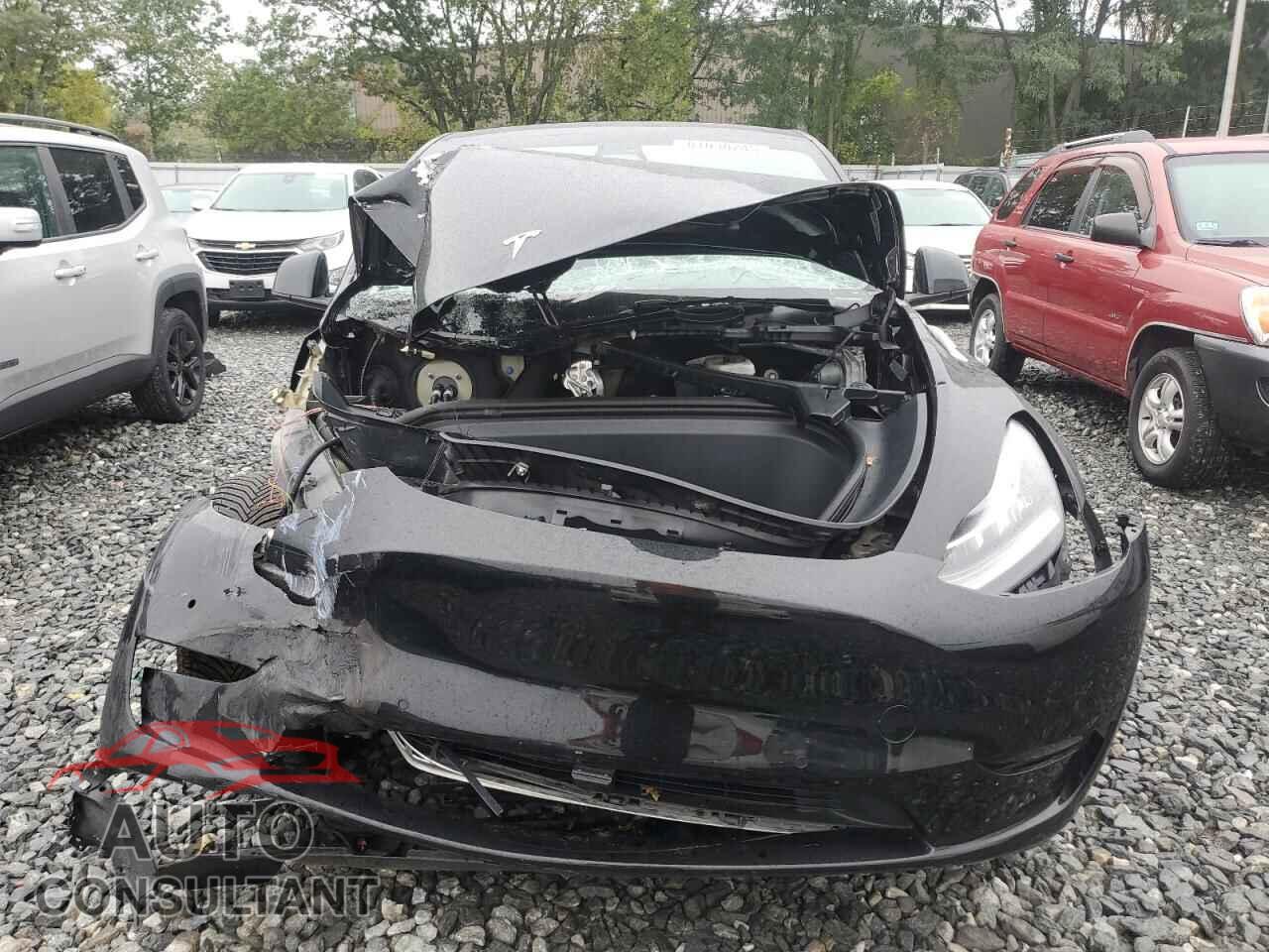 TESLA MODEL Y 2021 - 5YJYGAEE7MF238346