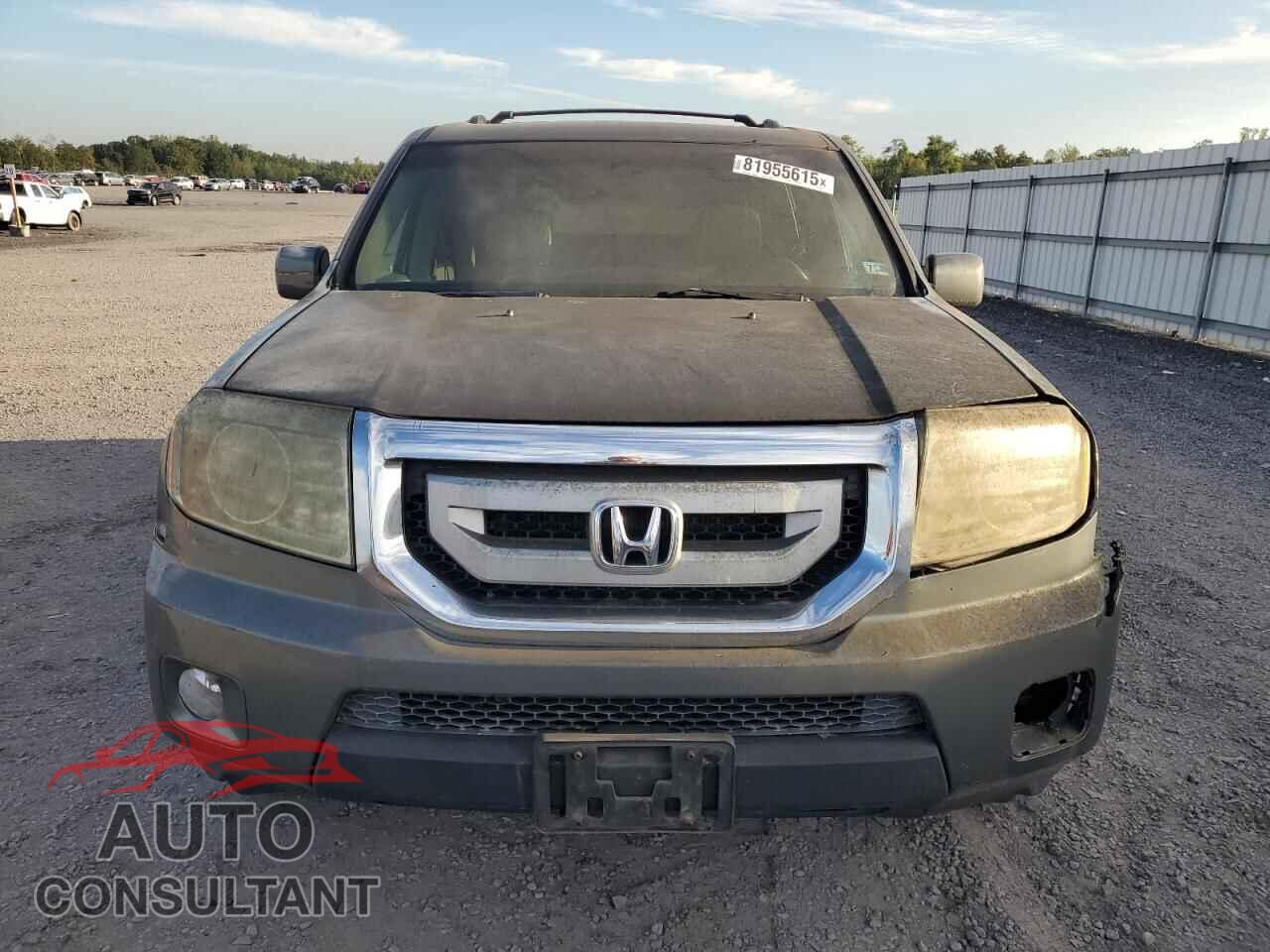 HONDA PILOT 2009 - 5FNYF48559B020204