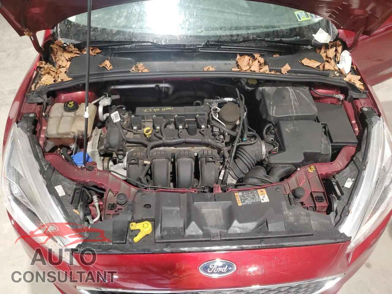 FORD FOCUS 2016 - 1FADP3K25GL224666