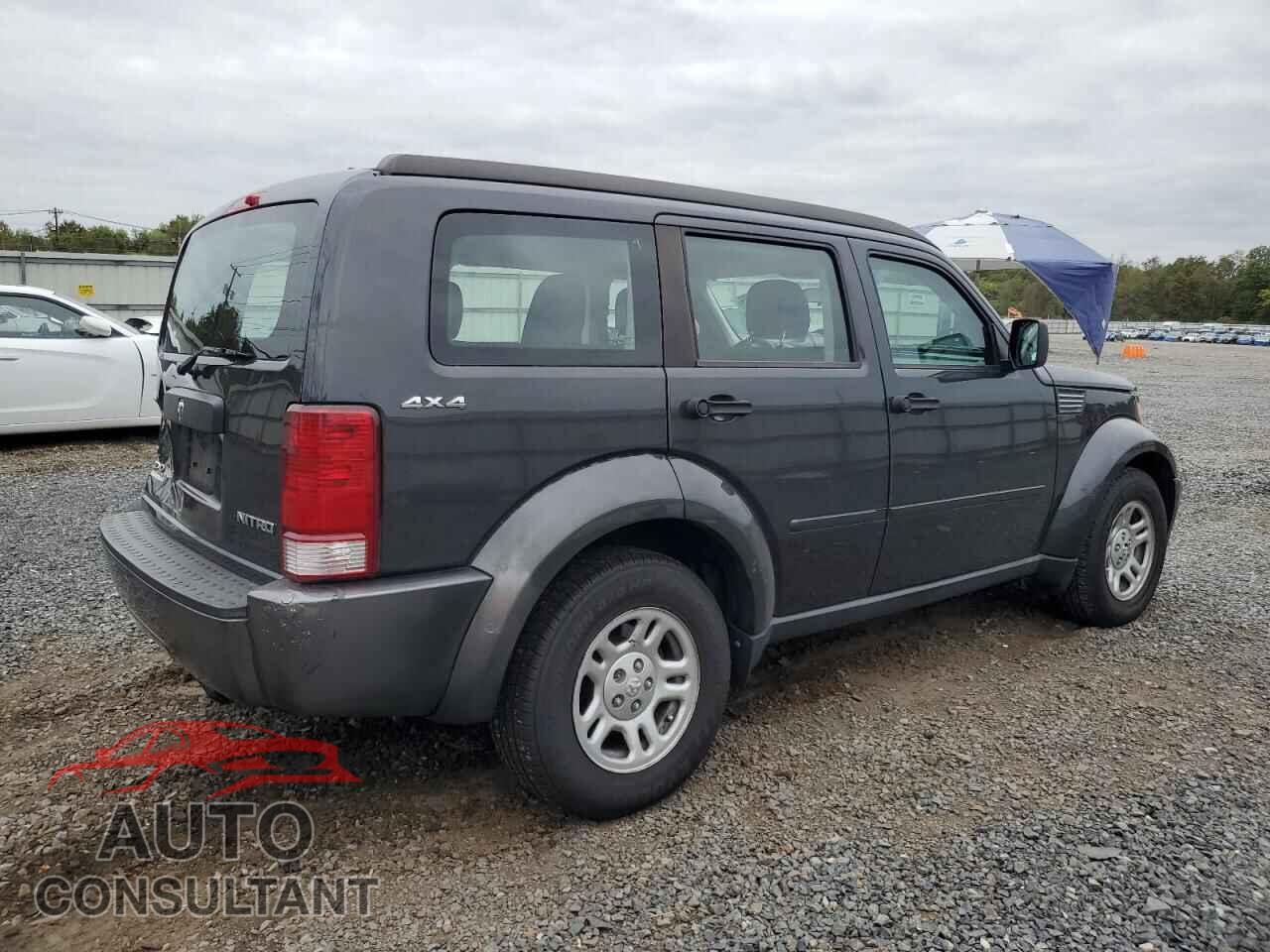 DODGE NITRO 2011 - 1D4PU2GK0BW515170