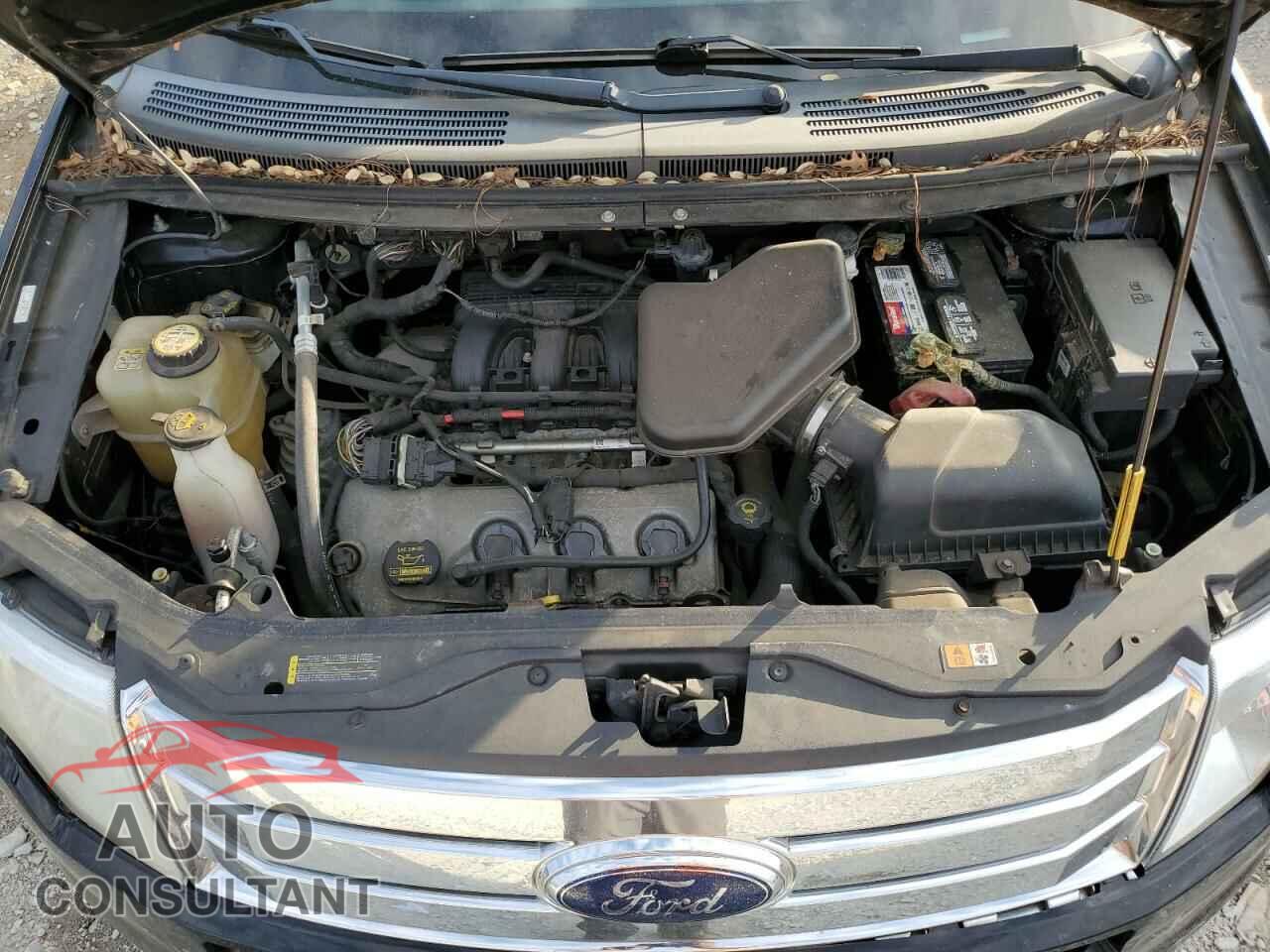 FORD EDGE 2009 - 2FMDK39C19BA44445