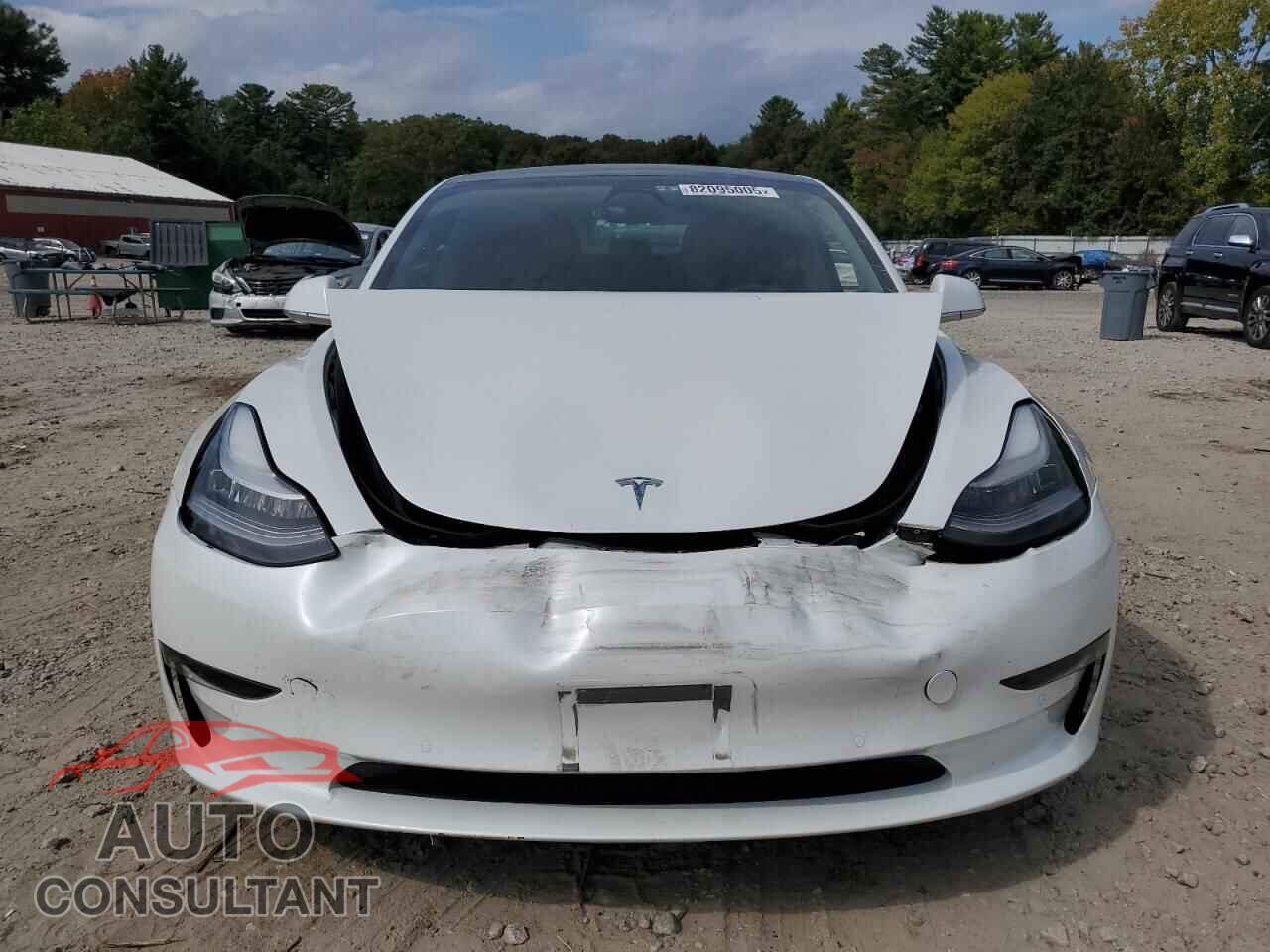 TESLA MODEL 3 2020 - 5YJ3E1EBXLF800969