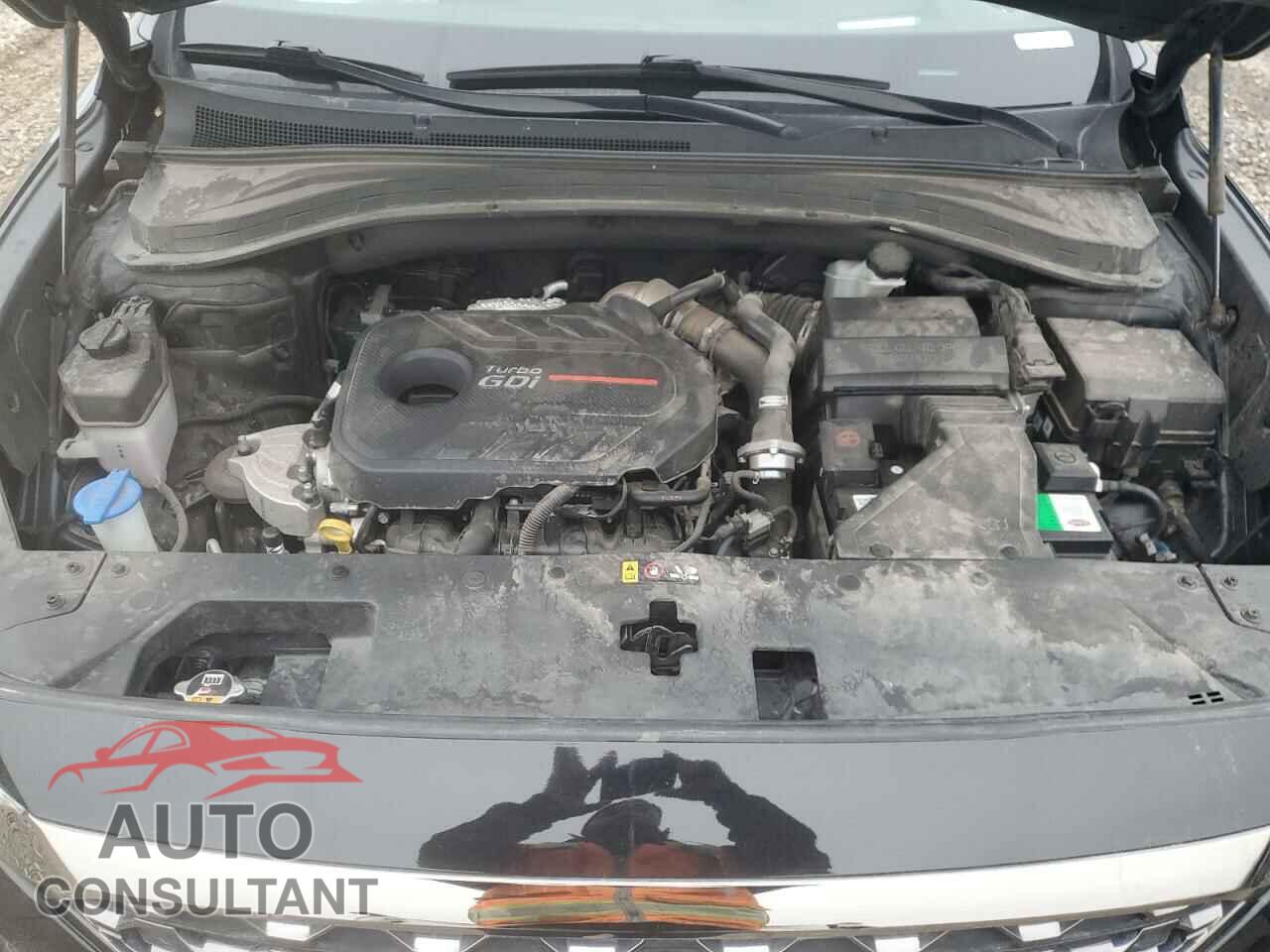 HYUNDAI SANTA FE 2020 - 5NMS5CAA8LH304586