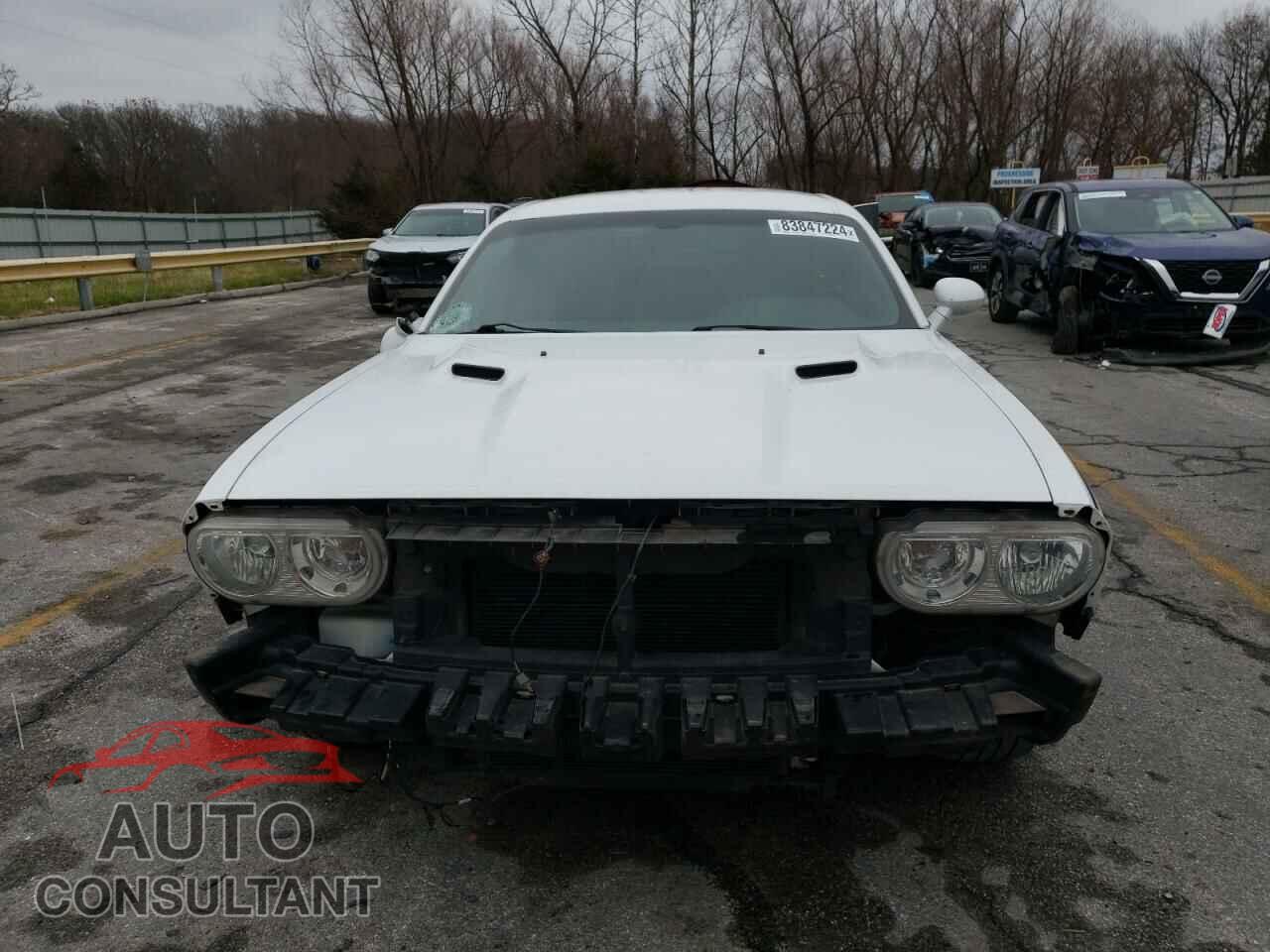 DODGE CHALLENGER 2013 - 2C3CDYAG7DH627859