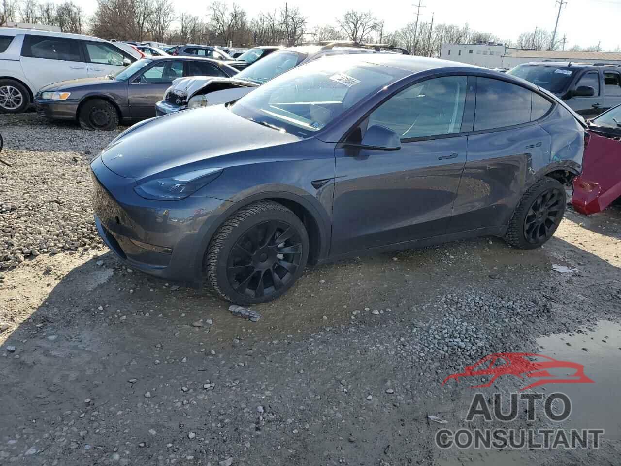 TESLA MODEL Y 2023 - 7SAYGAEE8PF777033