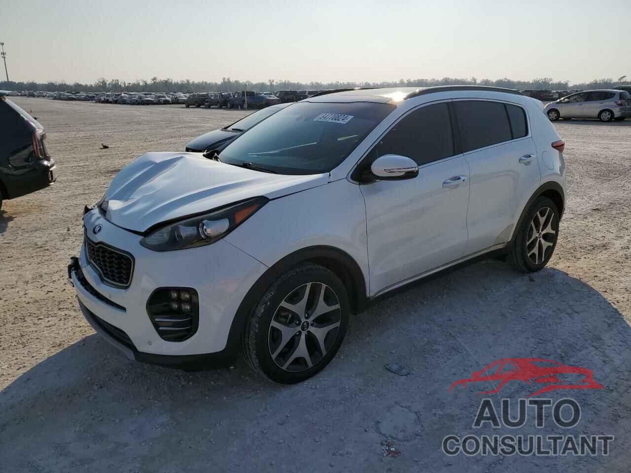 KIA SPORTAGE 2019 - KNDPR3A62K7533938