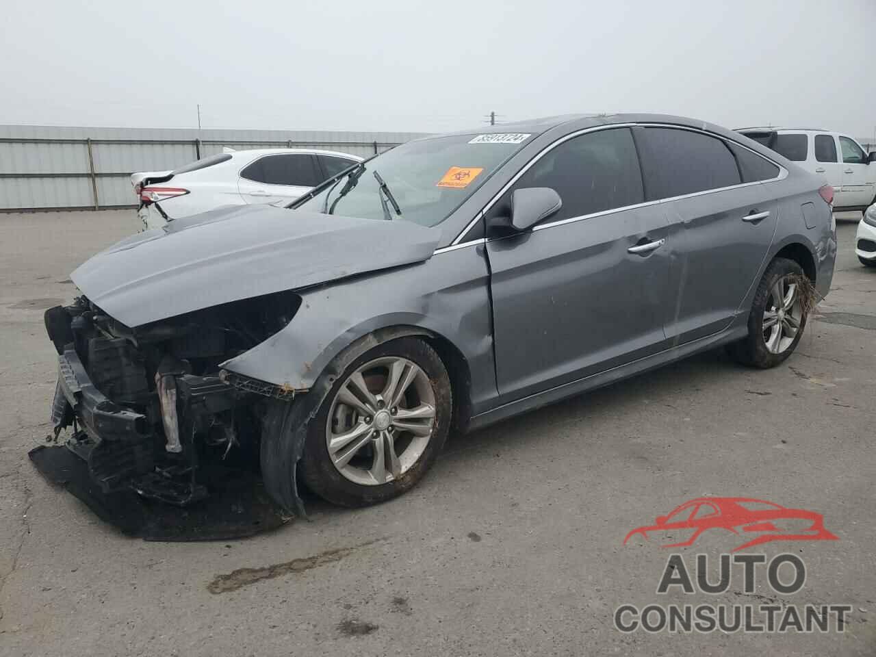HYUNDAI SONATA 2019 - 5NPE34AF1KH745742