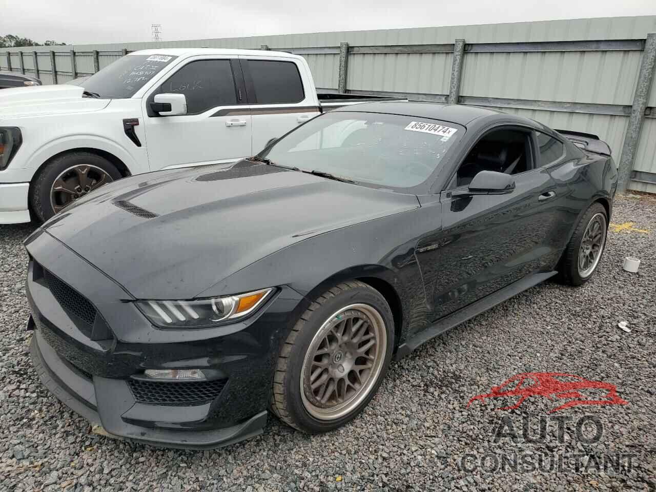 FORD MUSTANG 2019 - 1FA6P8JZ3K5550192