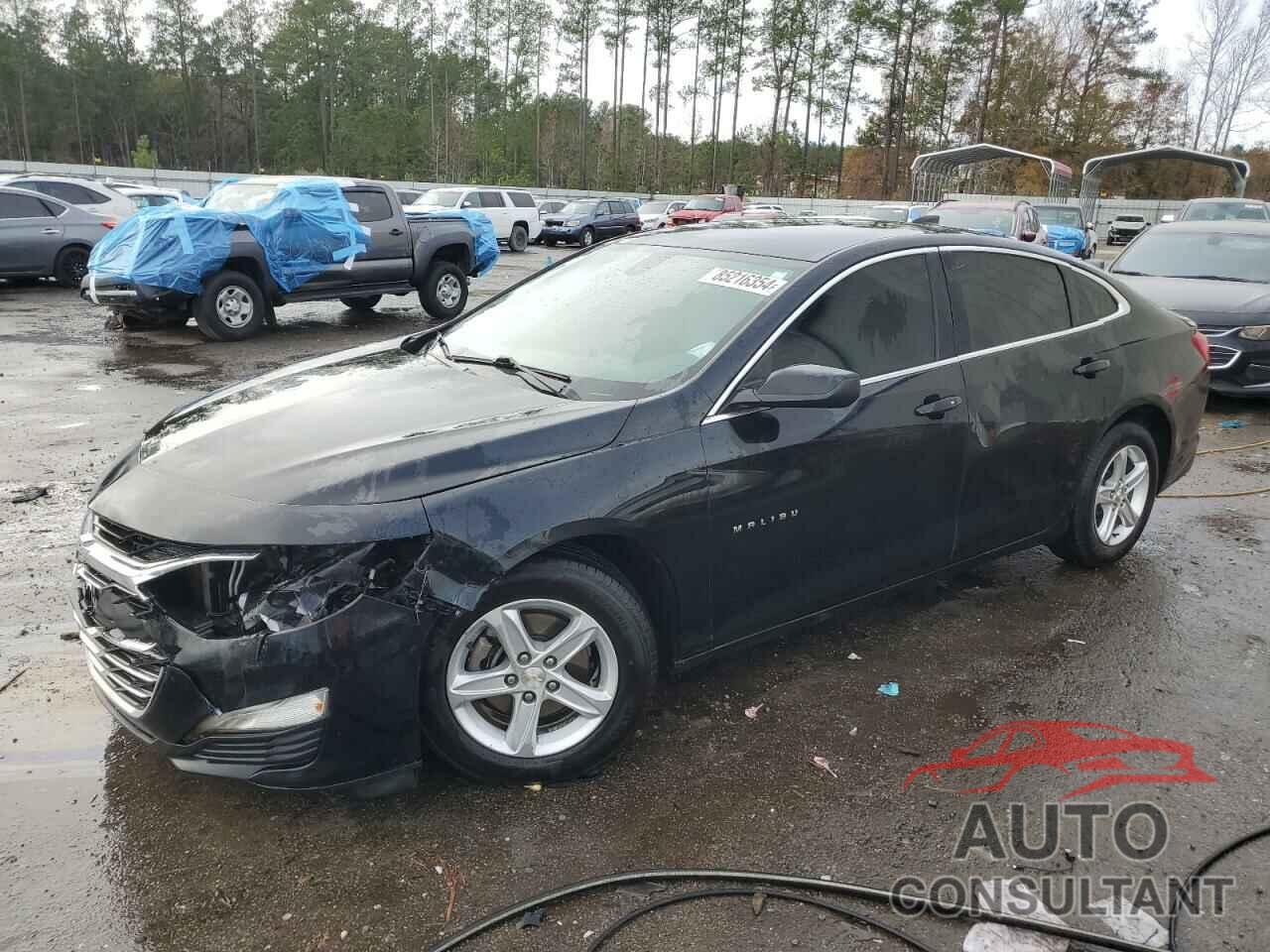 CHEVROLET MALIBU 2019 - 1G1ZC5ST6KF124561