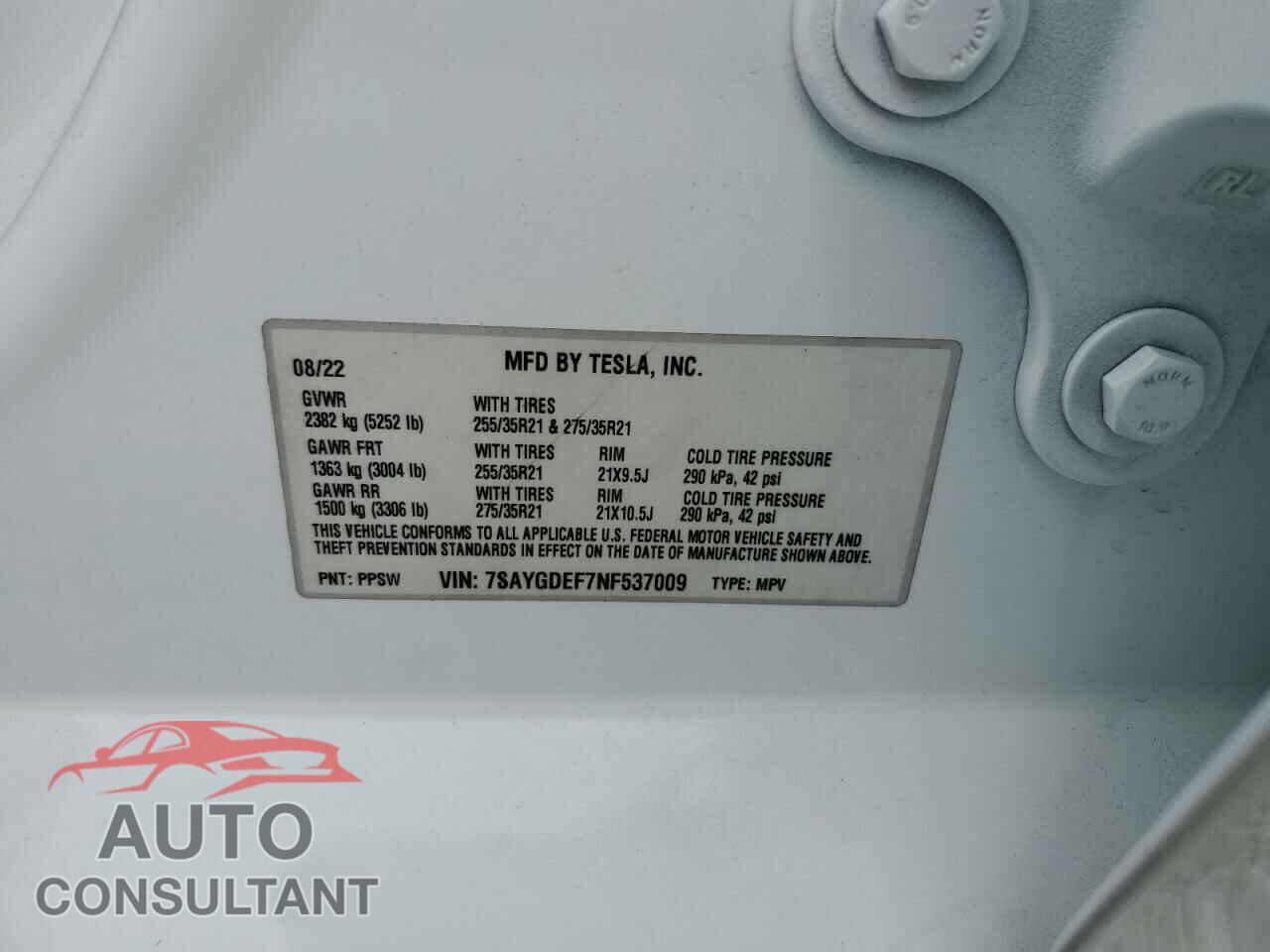 TESLA MODEL Y 2022 - 7SAYGDEF7NF537009