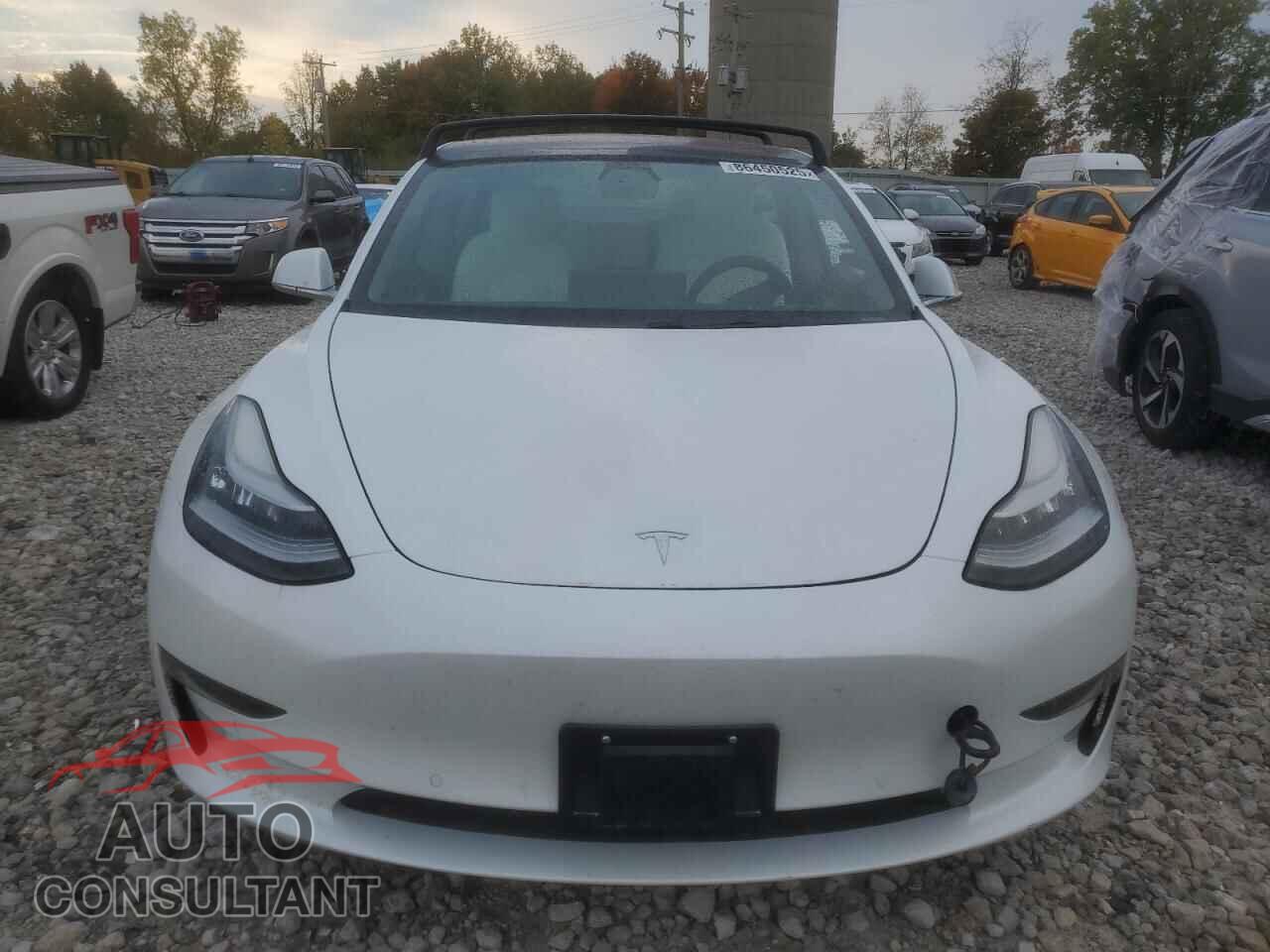TESLA MODEL 3 2019 - 5YJ3E1EA9KF486169