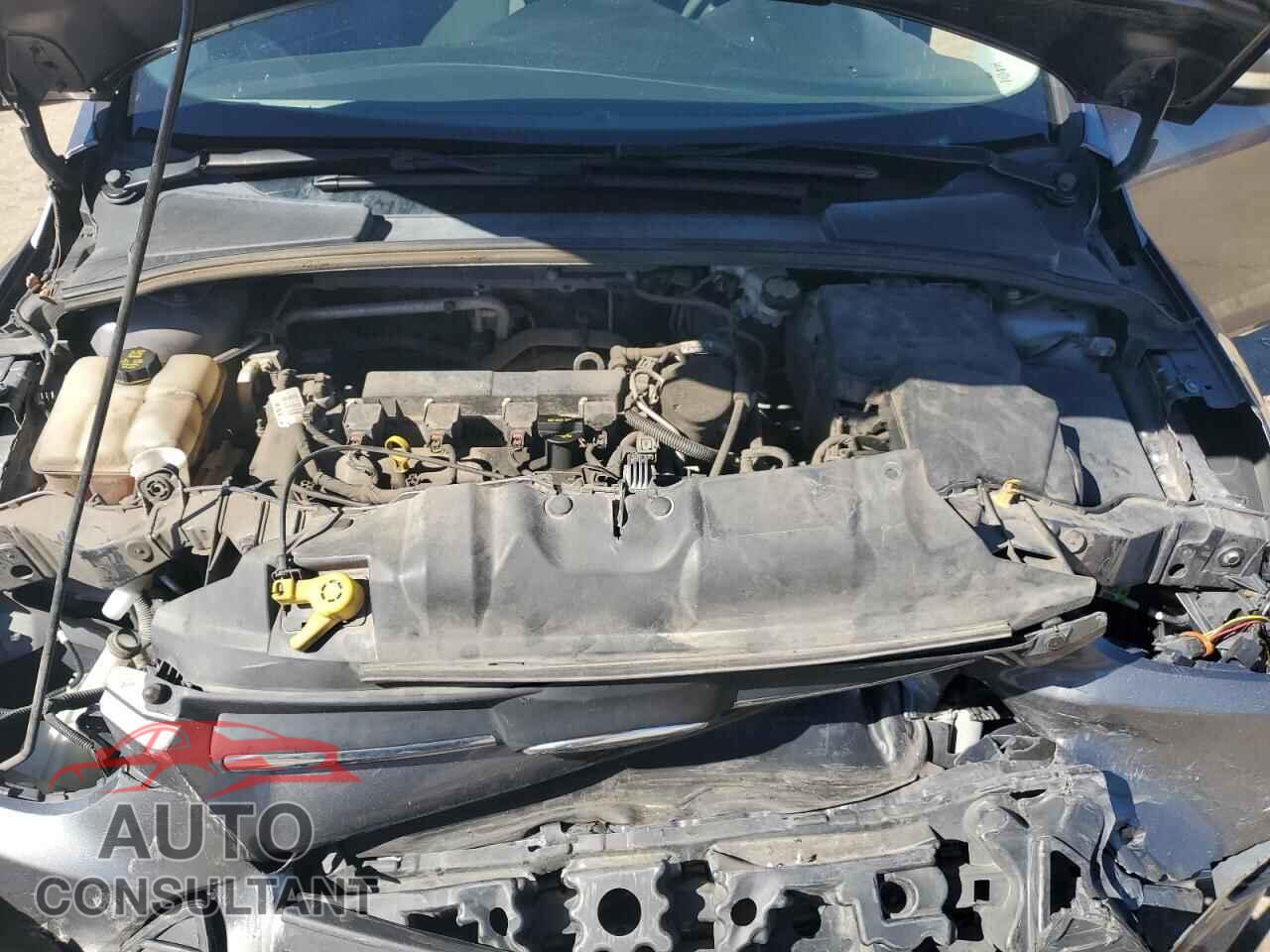 FORD FOCUS 2014 - 1FADP3F25EL183091