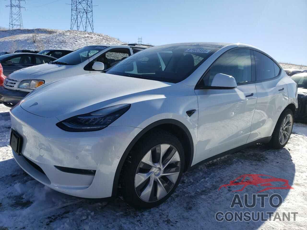 TESLA MODEL Y 2022 - 7SAYGAEE8NF426278