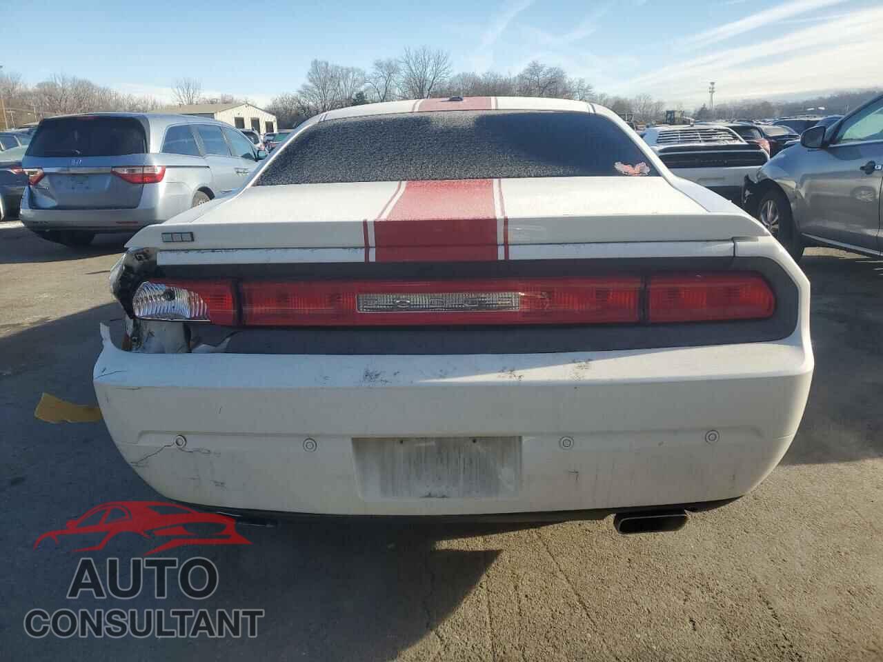 DODGE CHALLENGER 2013 - 2C3CDYAG6DH501606