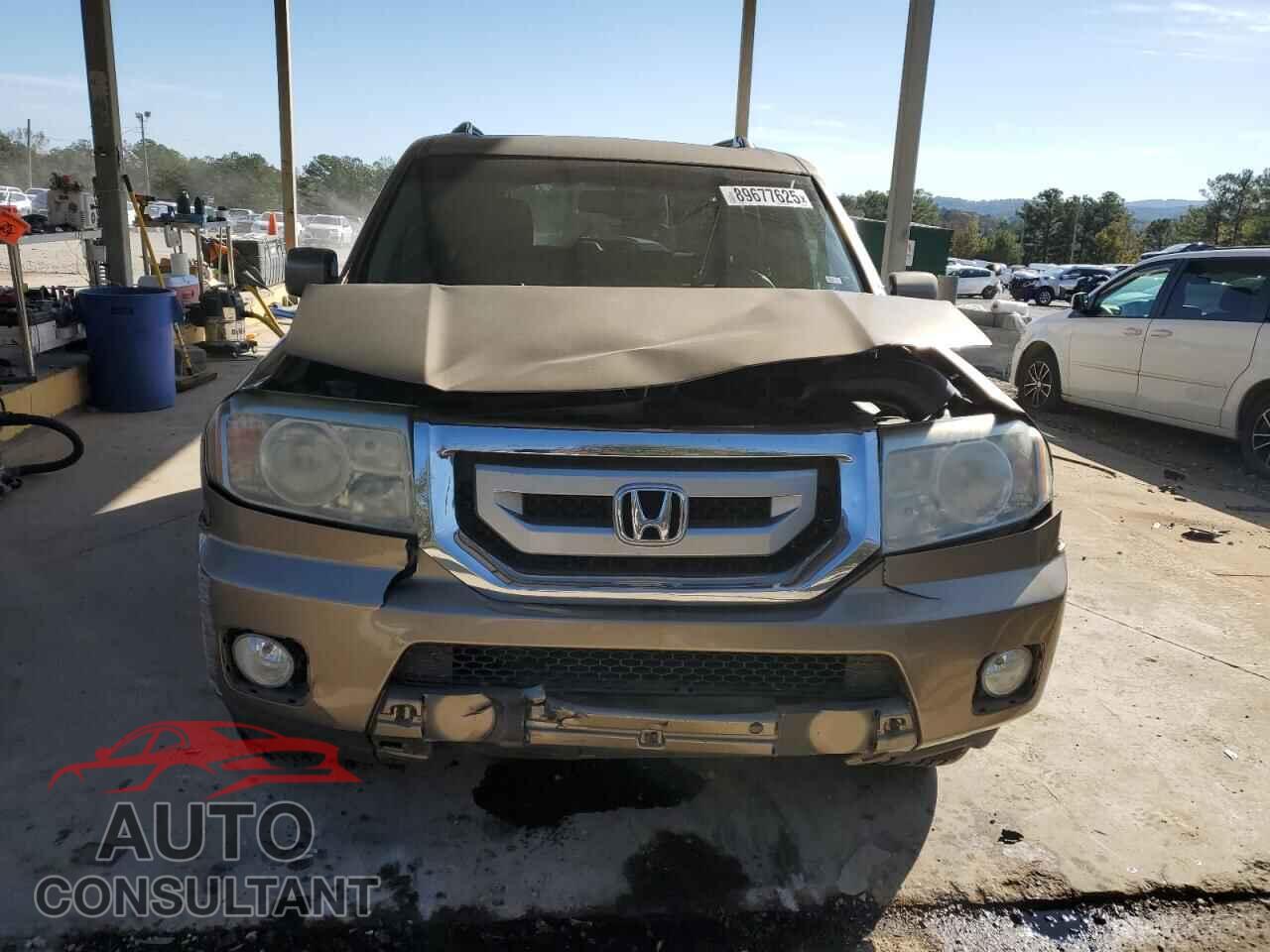 HONDA PILOT 2009 - 5FNYF38599B024346