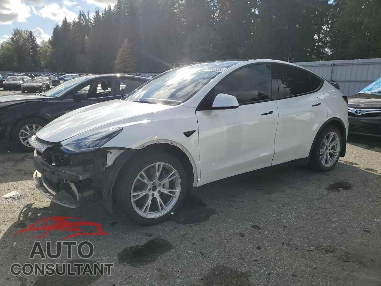 TESLA MODEL Y 2021 - 5YJYGDEE4MF160318