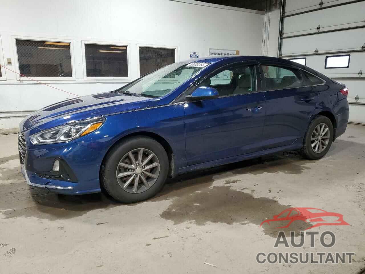 HYUNDAI SONATA 2019 - 5NPE24AF8KH730061