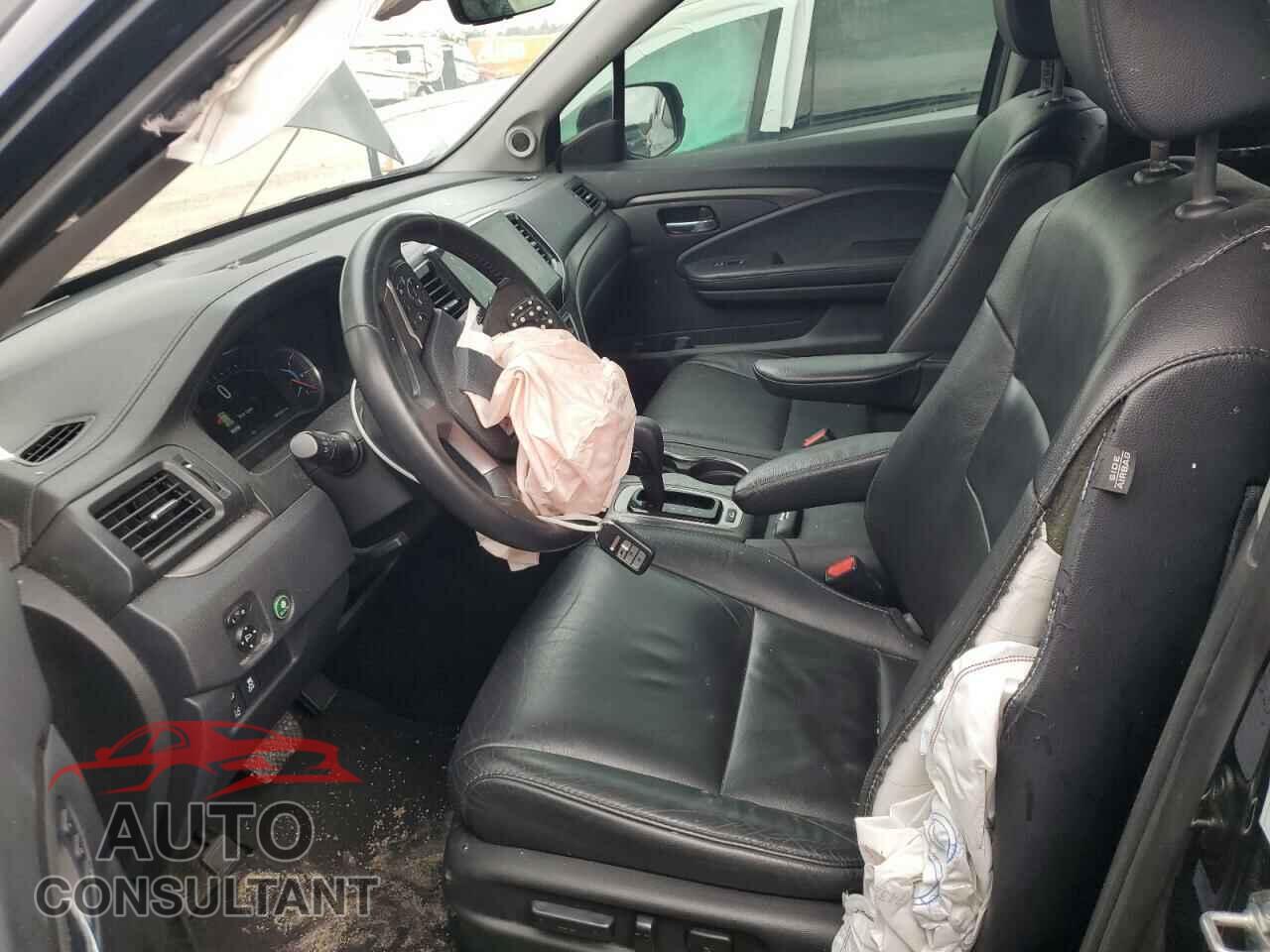 HONDA PILOT 2019 - 5FNYF6H53KB100991