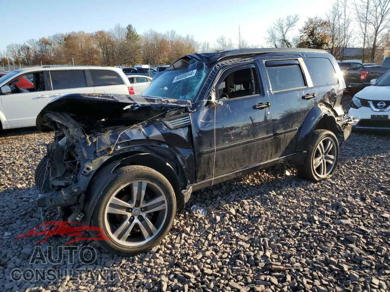 DODGE NITRO 2011 - 1D4PU7GX9BW516200