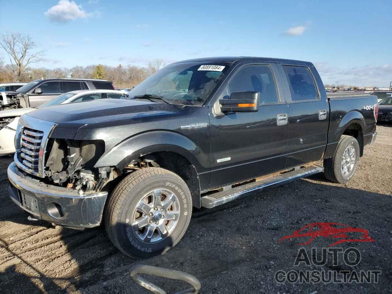 FORD F-150 2011 - 1FTFW1ET2BFA65773