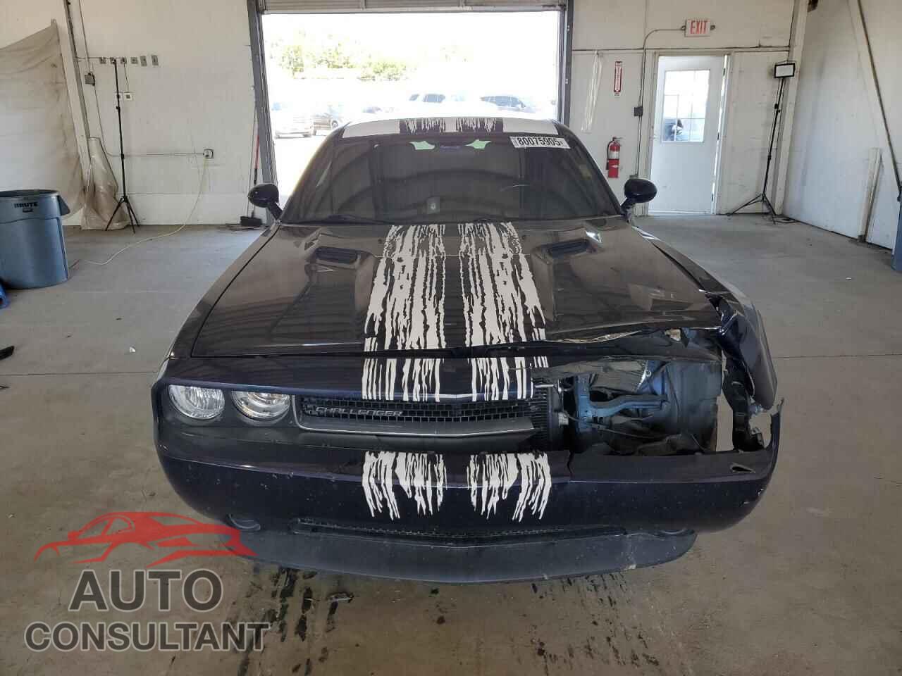 DODGE CHALLENGER 2013 - 2C3CDYAG4DH674797