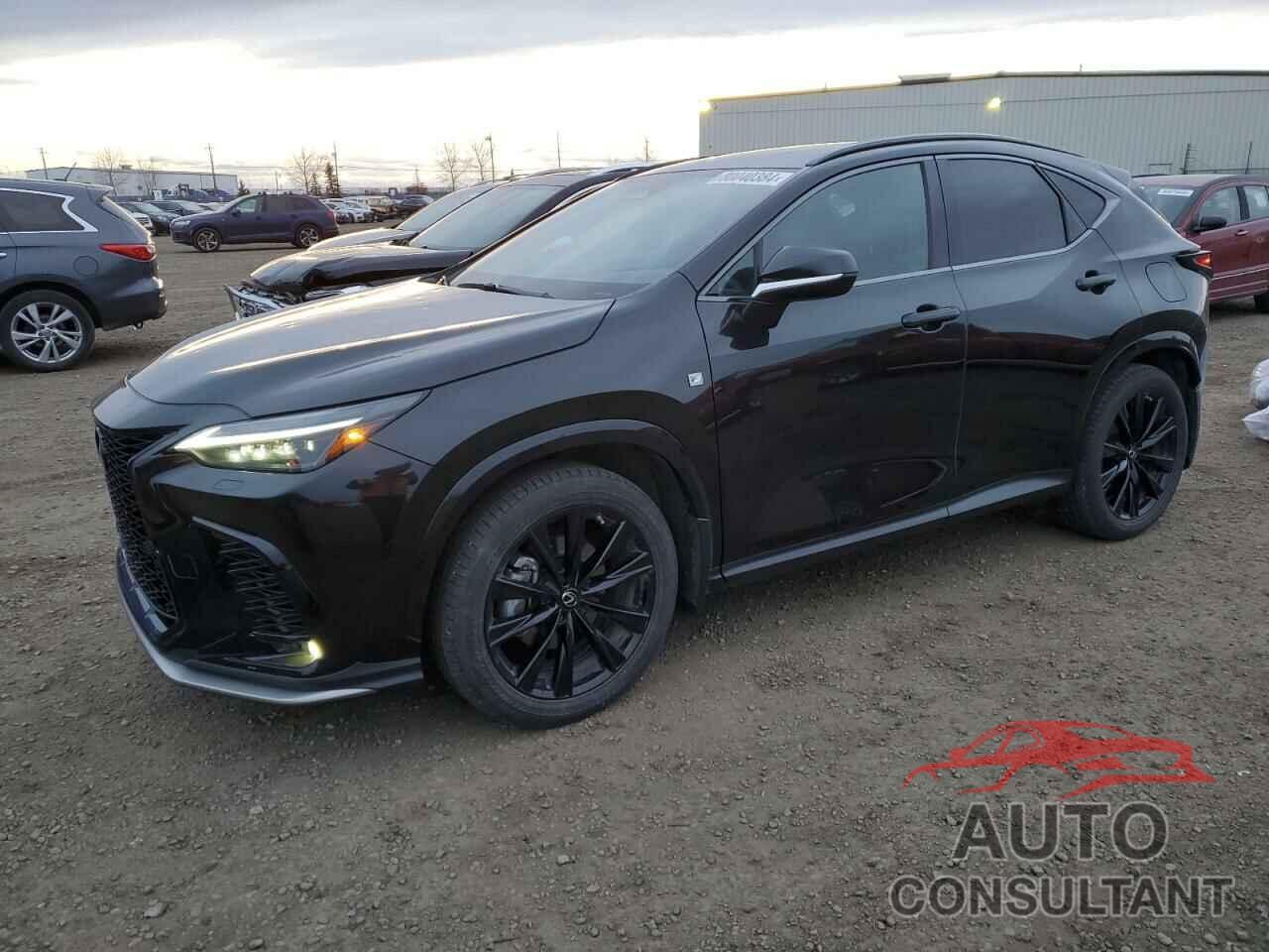 LEXUS NX 350 2022 - 2T2KGCEZXNC001551