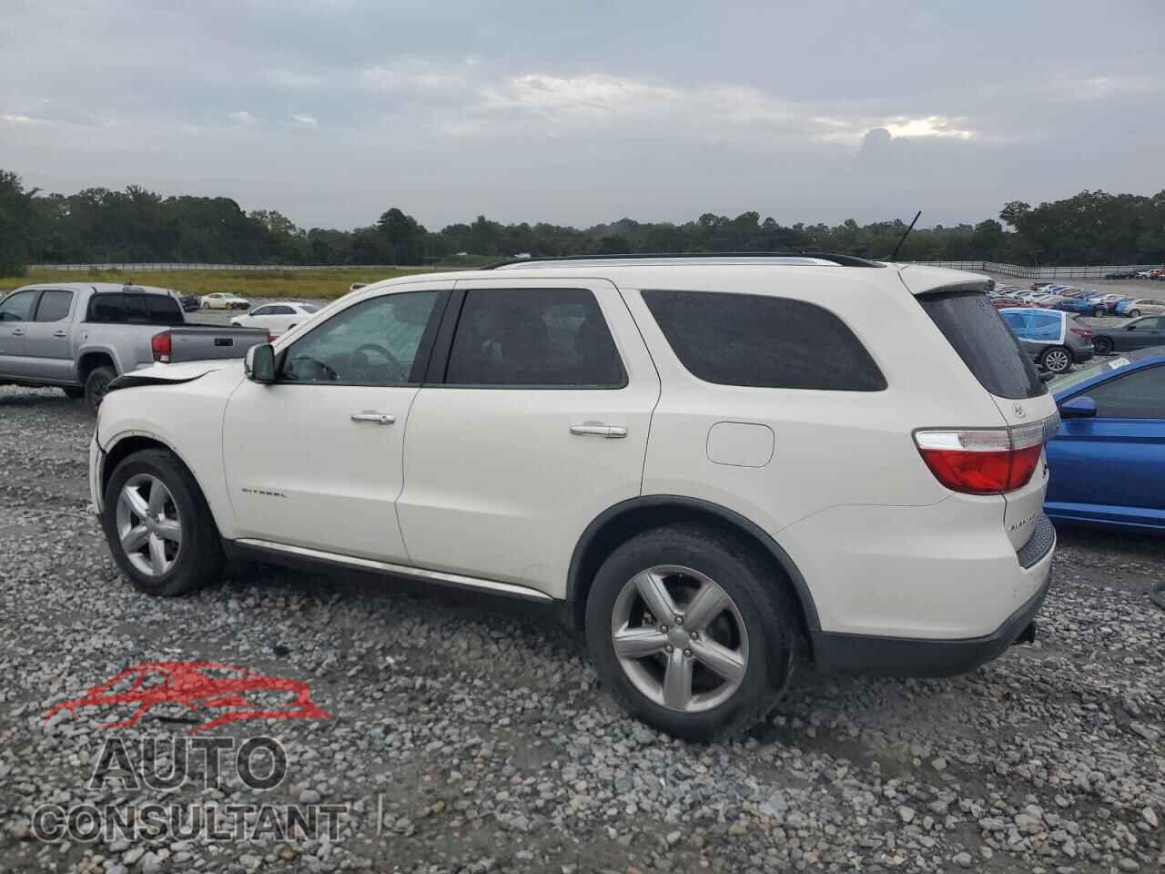 DODGE DURANGO 2011 - 1D4RD5GG0BC638295