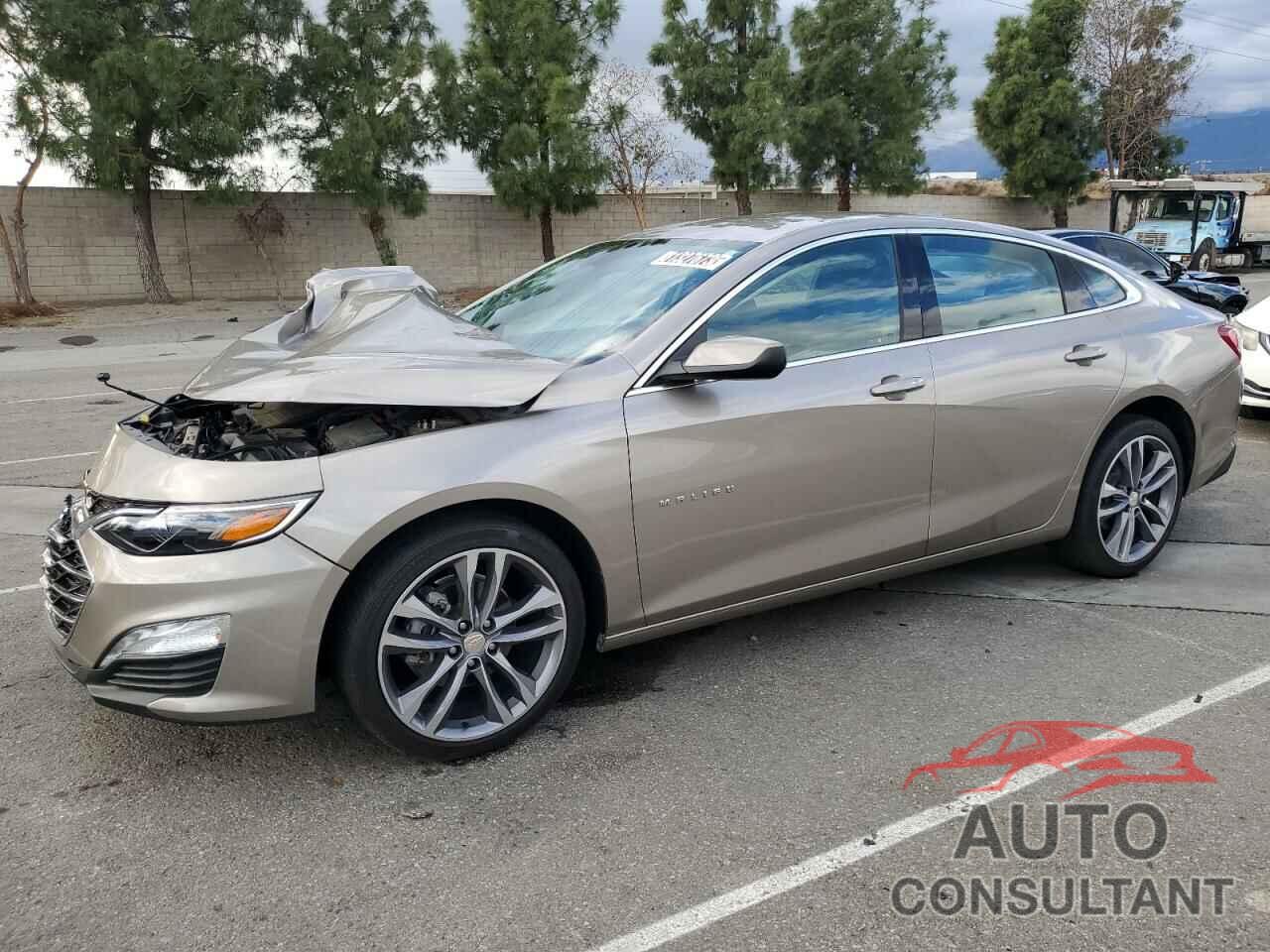 CHEVROLET MALIBU 2022 - 1G1ZD5ST1NF181218