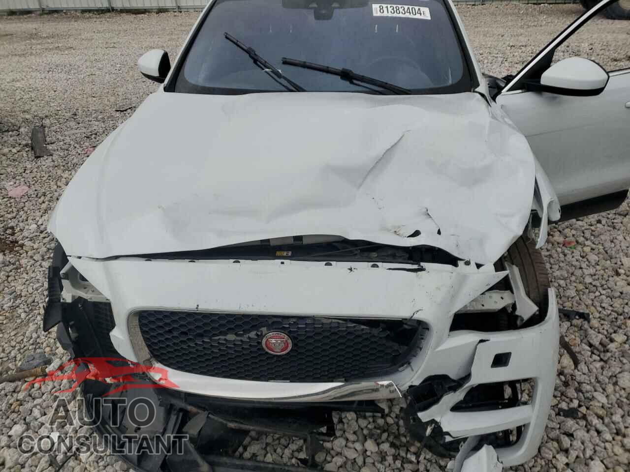 JAGUAR F-PACE 2017 - SADCK2BV1HA888098