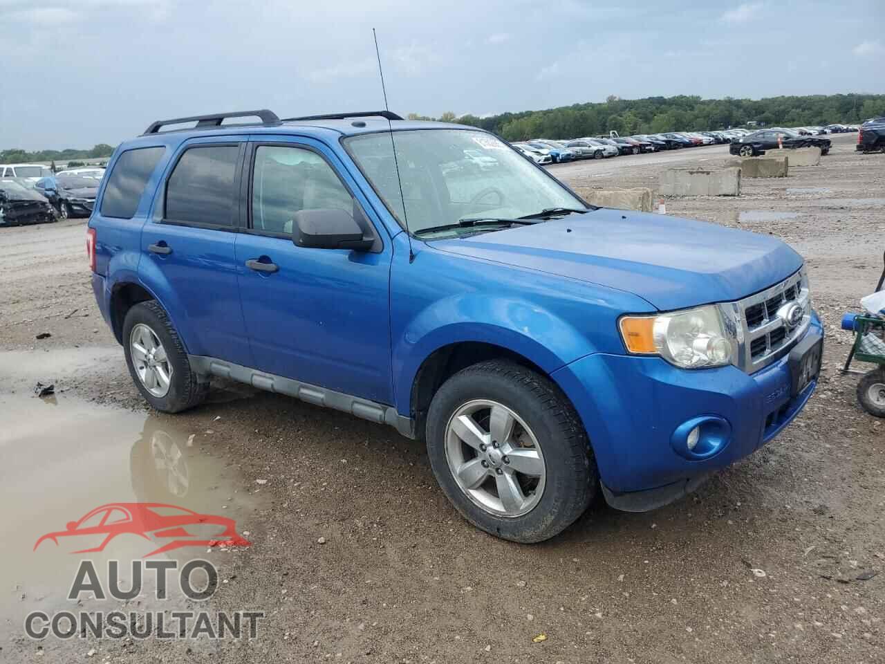 FORD ESCAPE 2011 - 1FMCU9DG9BKB24509