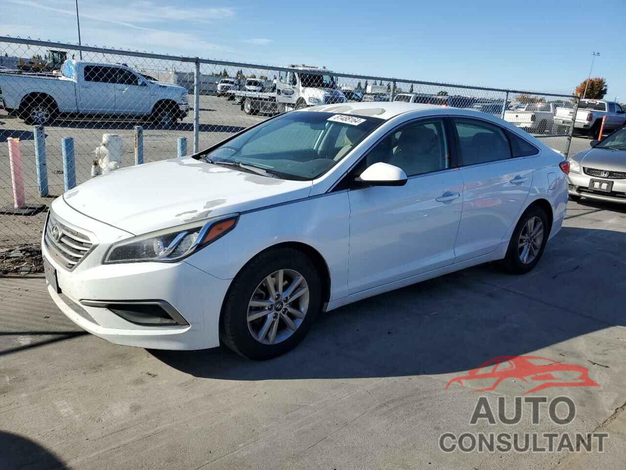 HYUNDAI SONATA 2016 - 5NPE24AF1GH393675