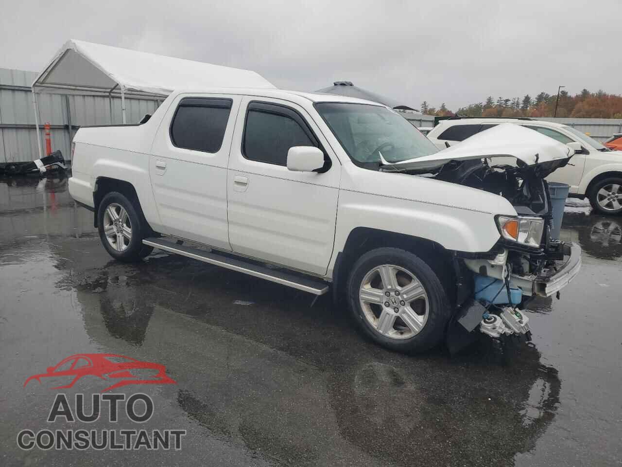 HONDA RIDGELINE 2009 - 5FPYK16539B109600