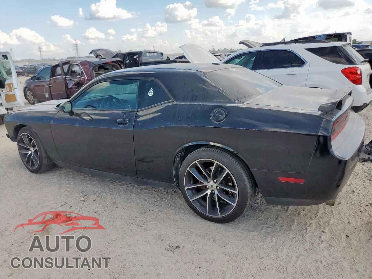 DODGE CHALLENGER 2014 - 2C3CDYBT9EH302255
