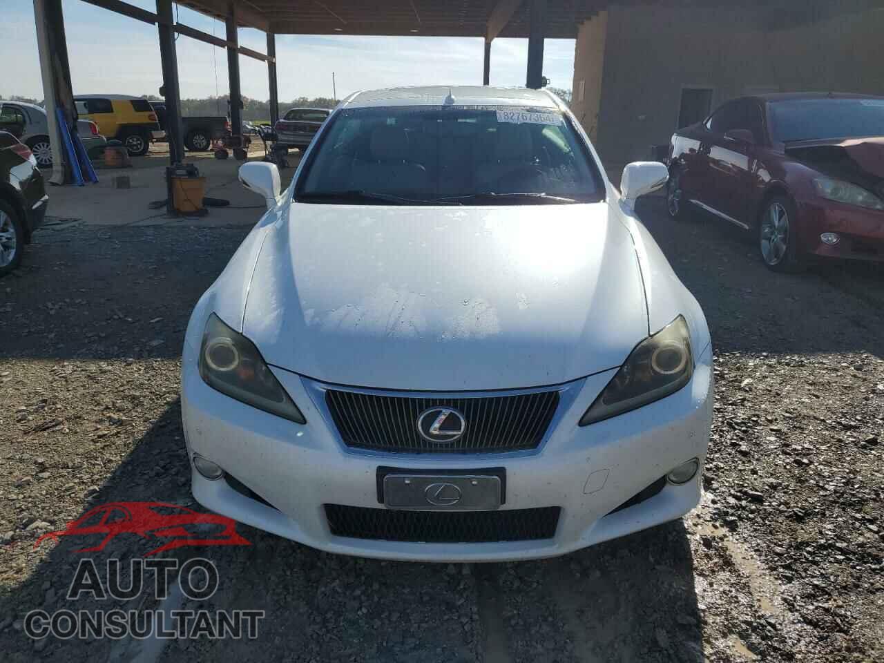 LEXUS IS 2011 - JTHFF2C22B2519140