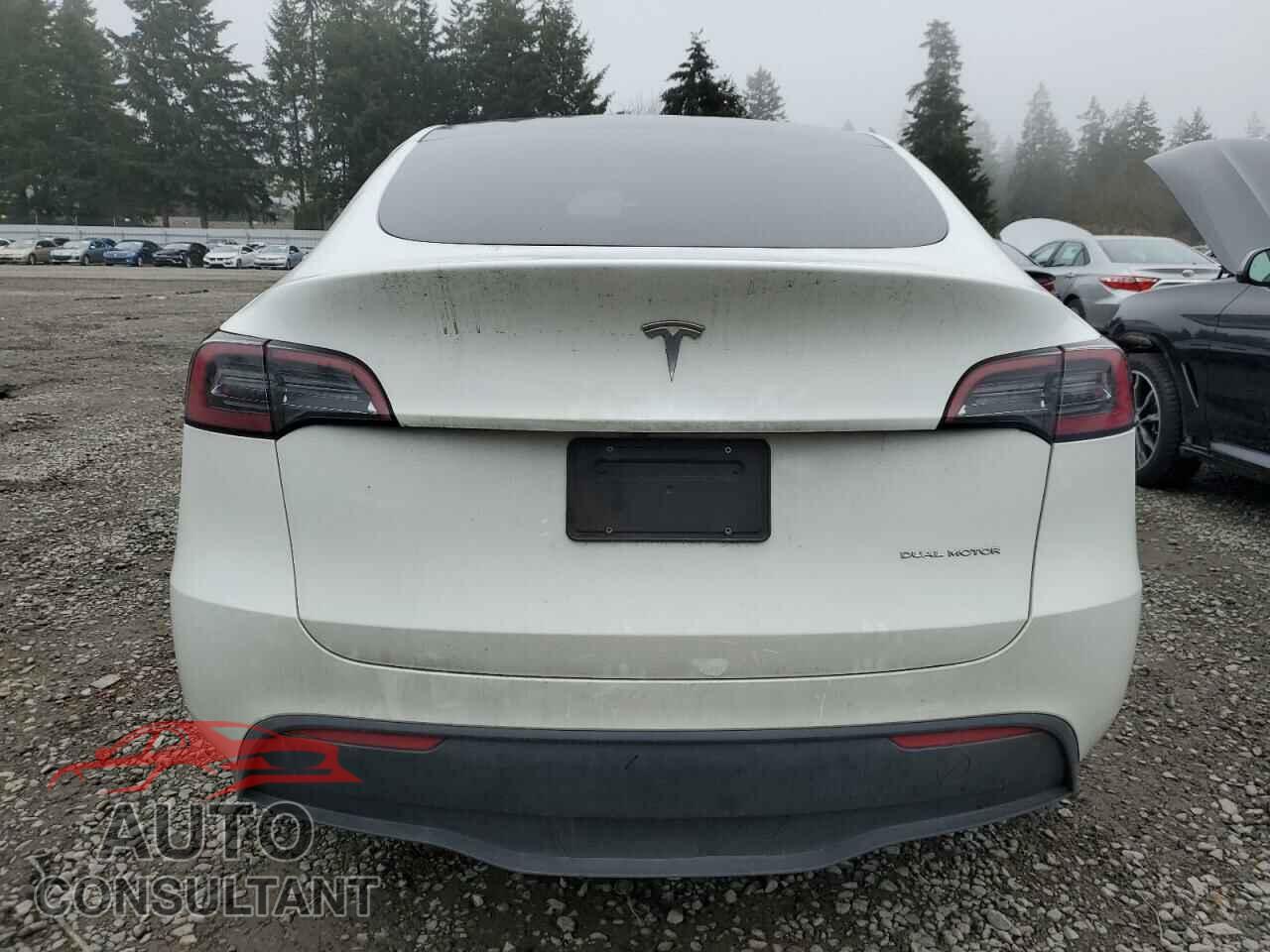 TESLA MODEL Y 2023 - 7SAYGDEE6PF685453