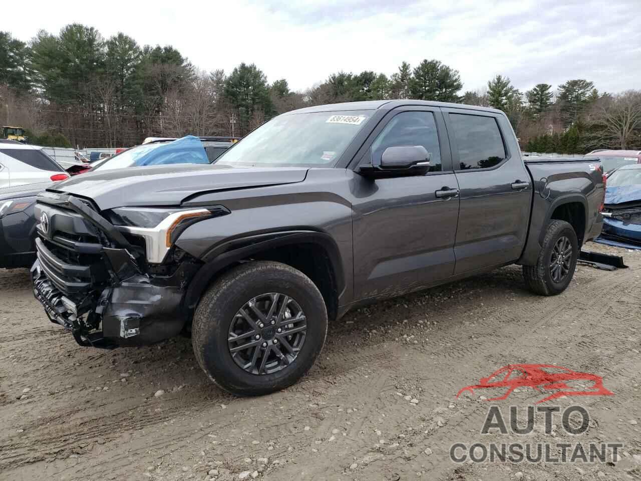 TOYOTA TUNDRA 2024 - 5TFLA5DB5RX220046