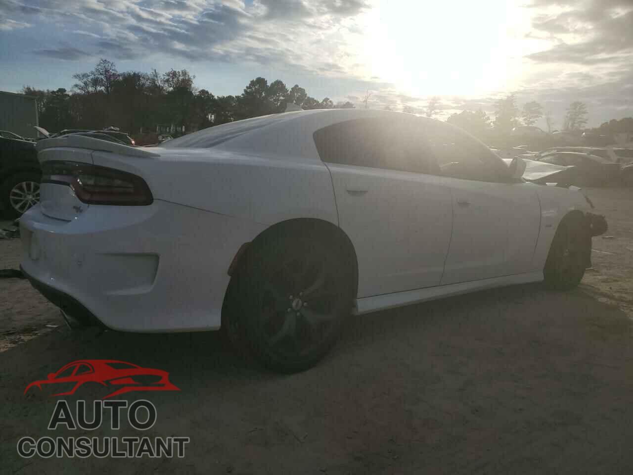 DODGE CHARGER 2019 - 2C3CDXCT4KH633362