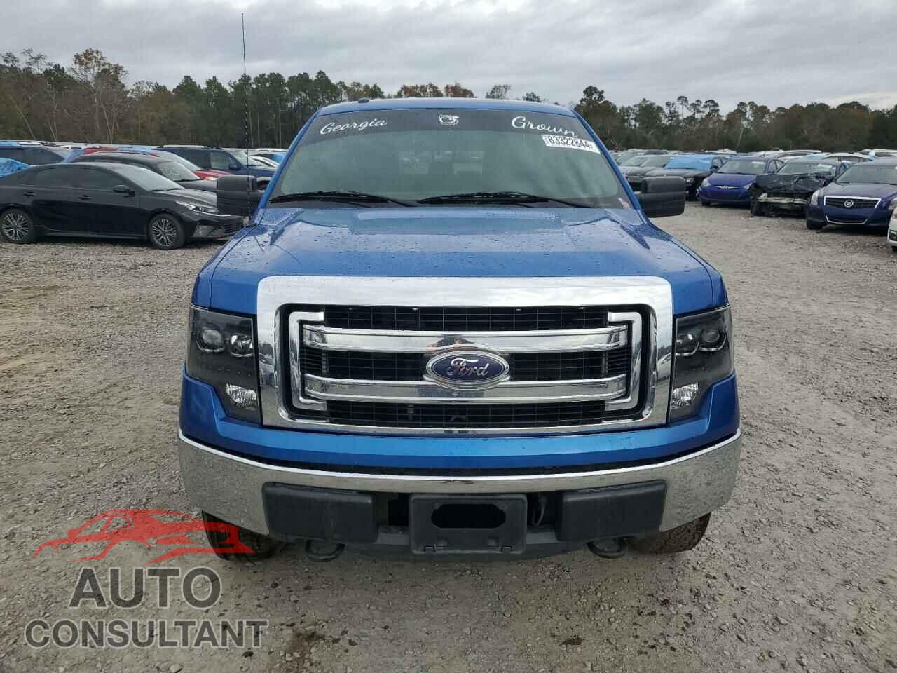 FORD F-150 2013 - 1FTFW1EF5DFD05962