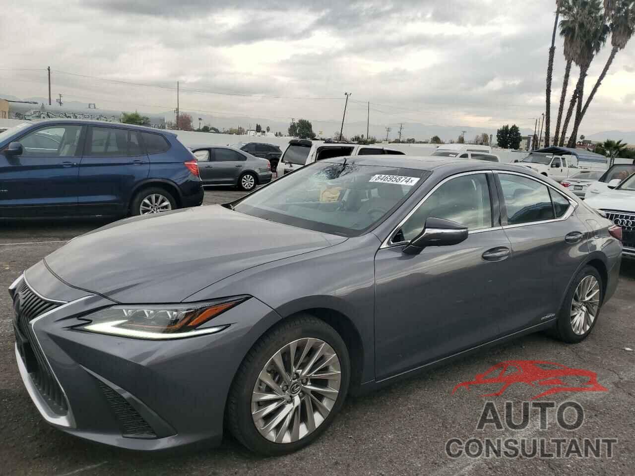 LEXUS ES300 2020 - 58AE21B19LU012323