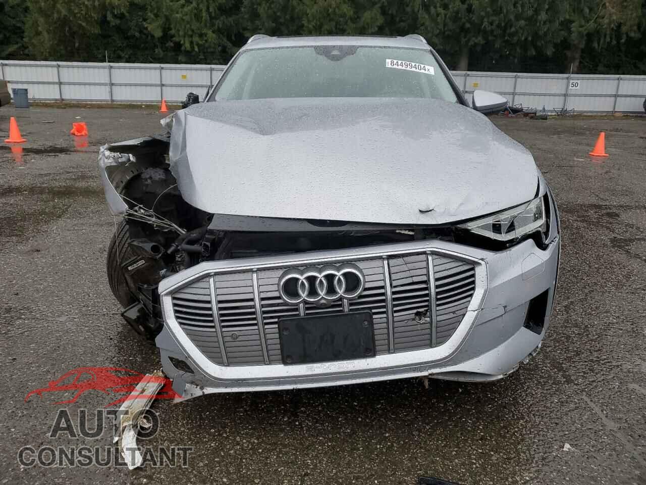 AUDI E-TRON 2019 - WA1LABGE8KB022207
