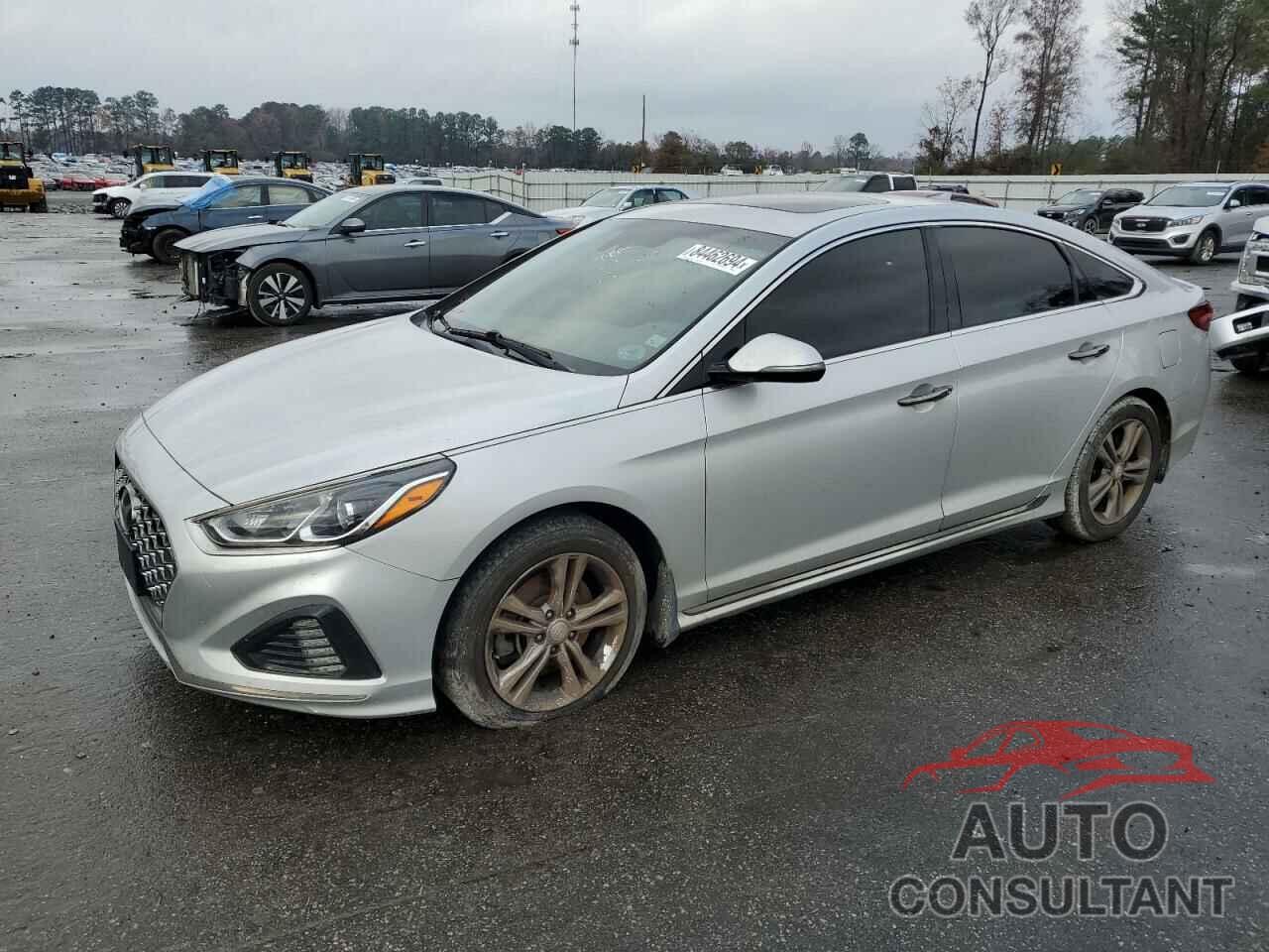 HYUNDAI SONATA 2019 - 5NPE34AF7KH813199