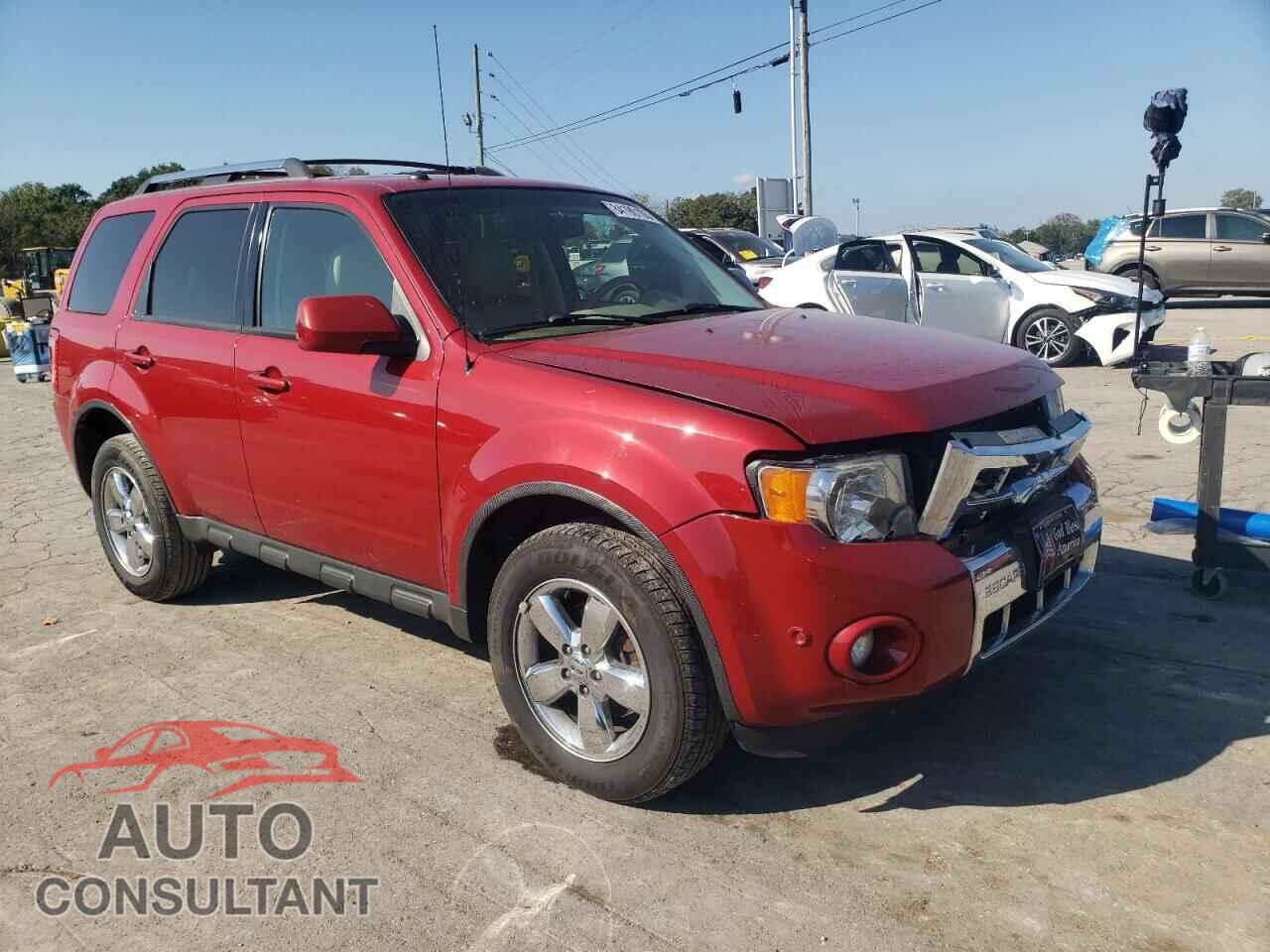 FORD ESCAPE 2011 - 1FMCU0EG7BKB19366