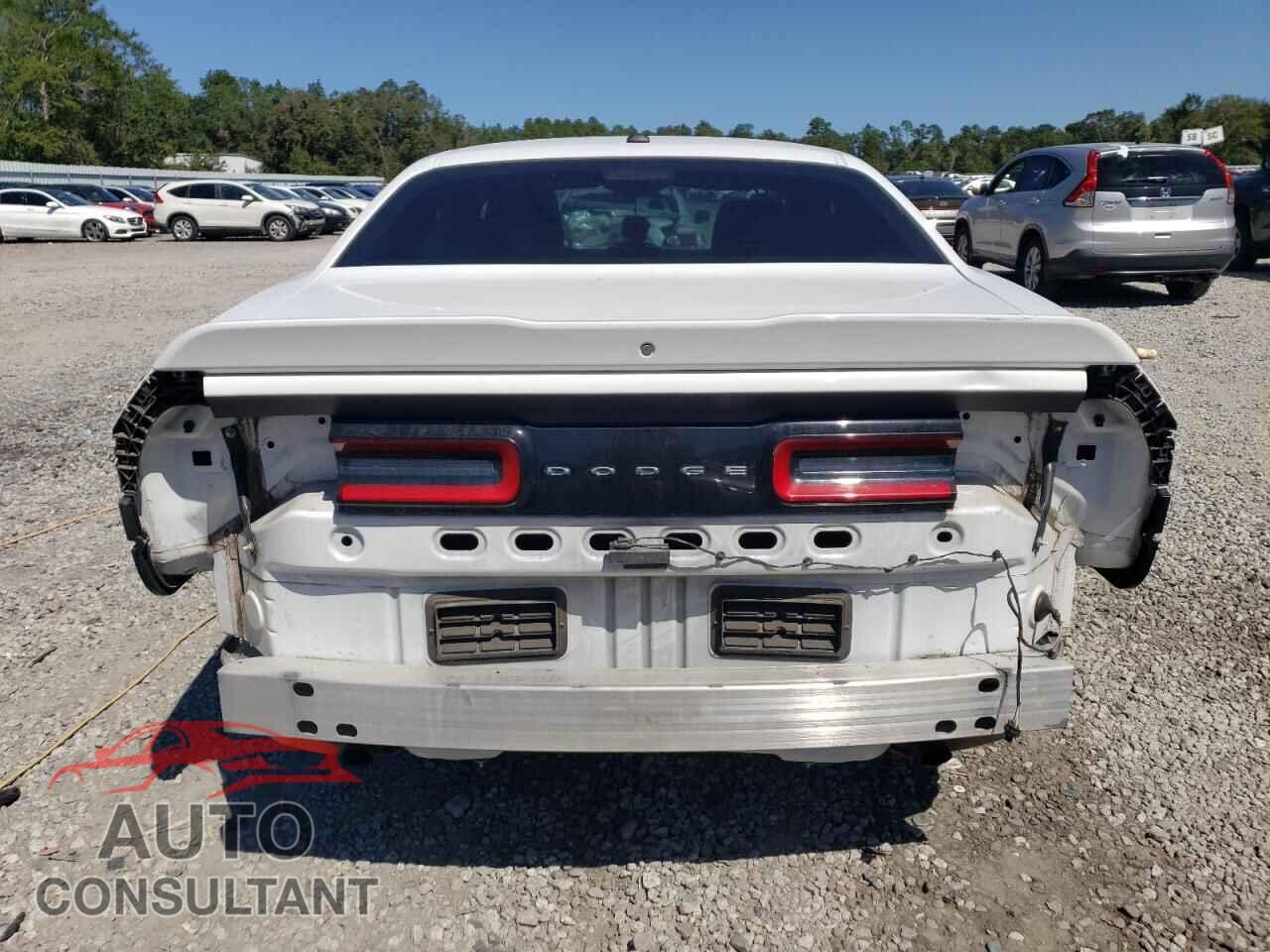 DODGE CHALLENGER 2019 - 2C3CDZAG2KH746647