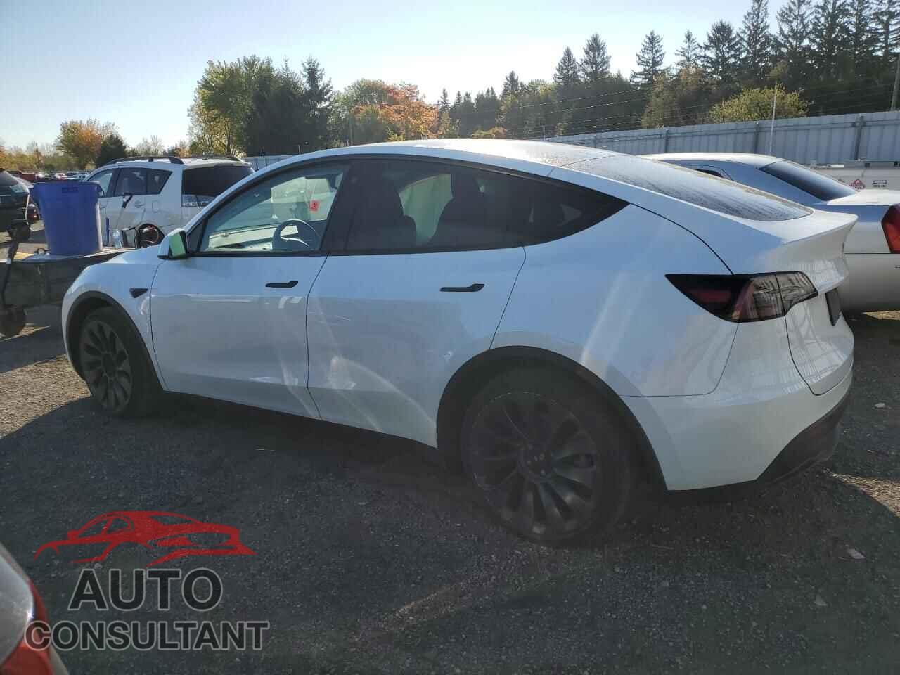 TESLA MODEL Y 2023 - LRWYGDFD2PC967392