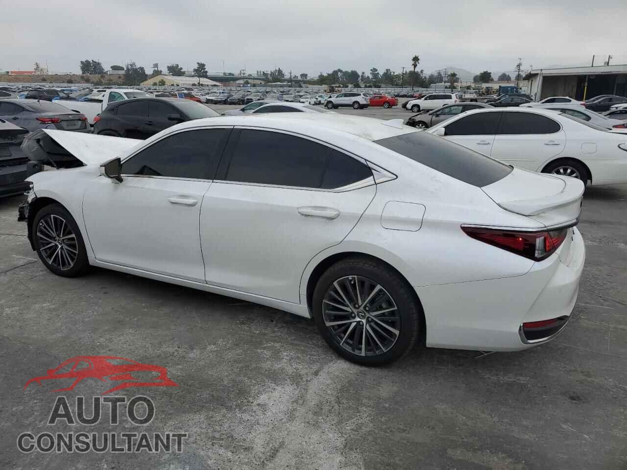 LEXUS ES300 2025 - 58ADA1C19SU065597