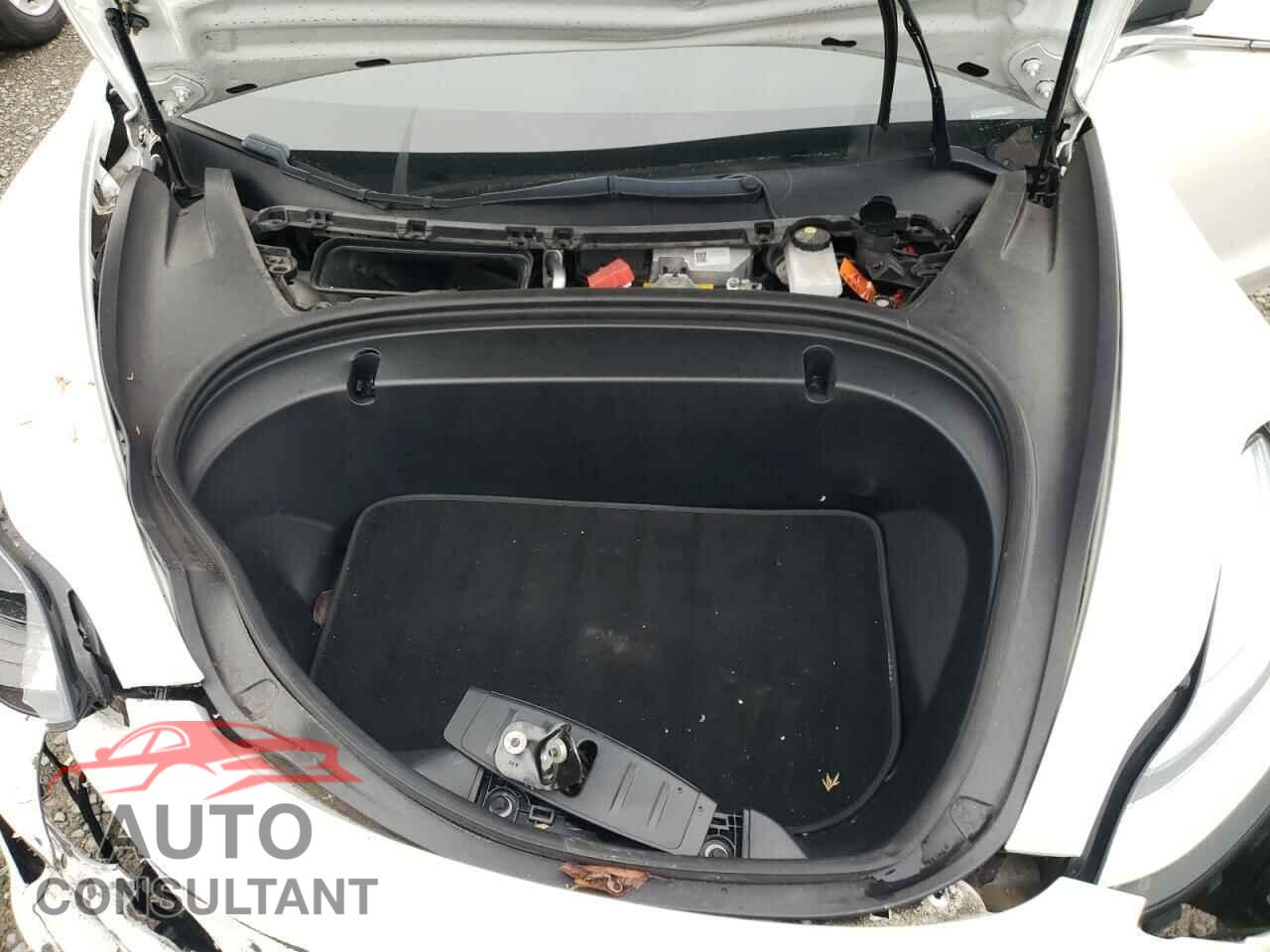 TESLA MODEL 3 2019 - 5YJ3E1EB4KF434196