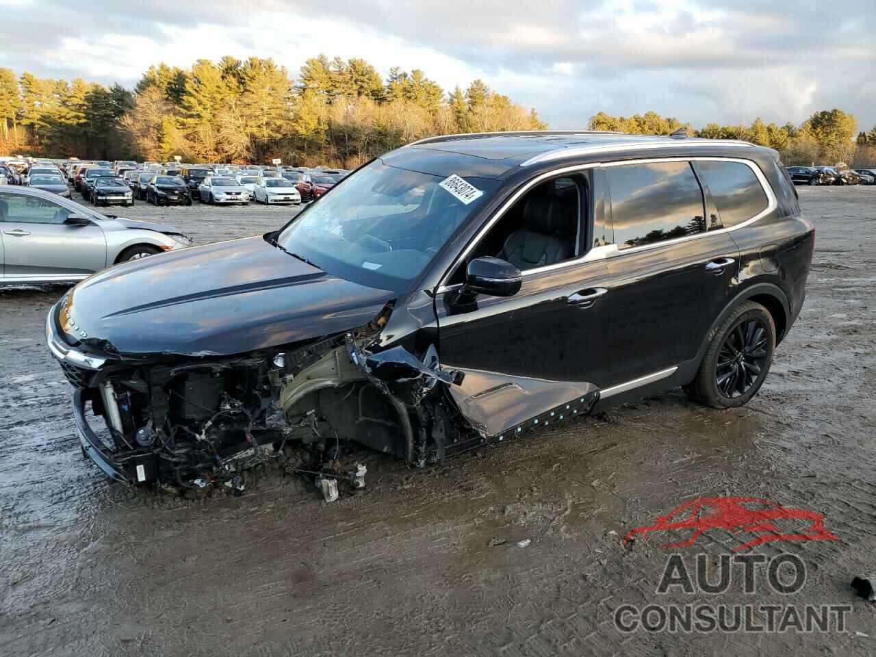 KIA TELLURIDE 2021 - 5XYP5DHC0MG114358