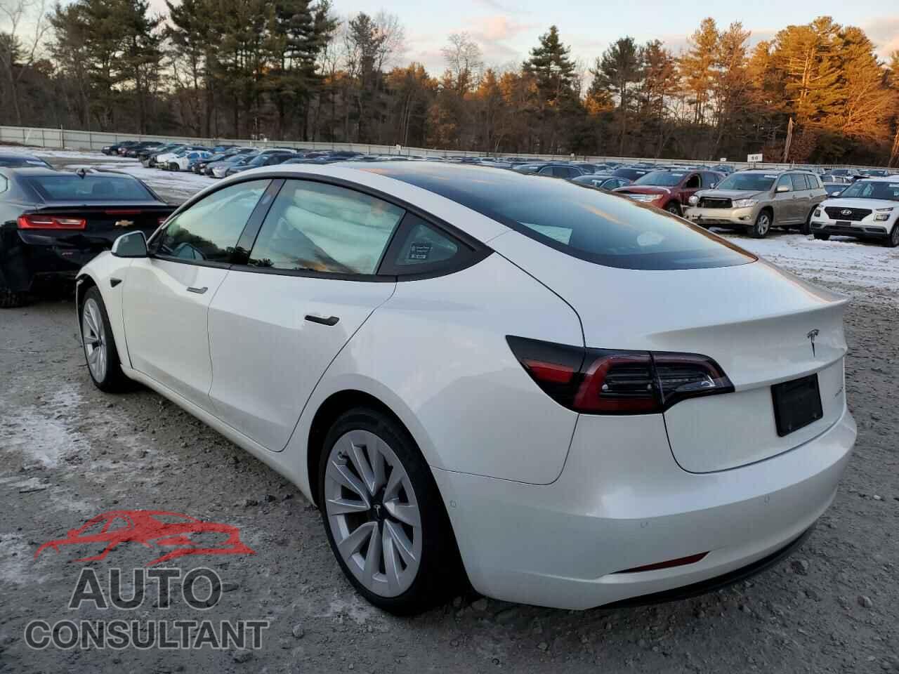 TESLA MODEL 3 2021 - 5YJ3E1EB0MF056459
